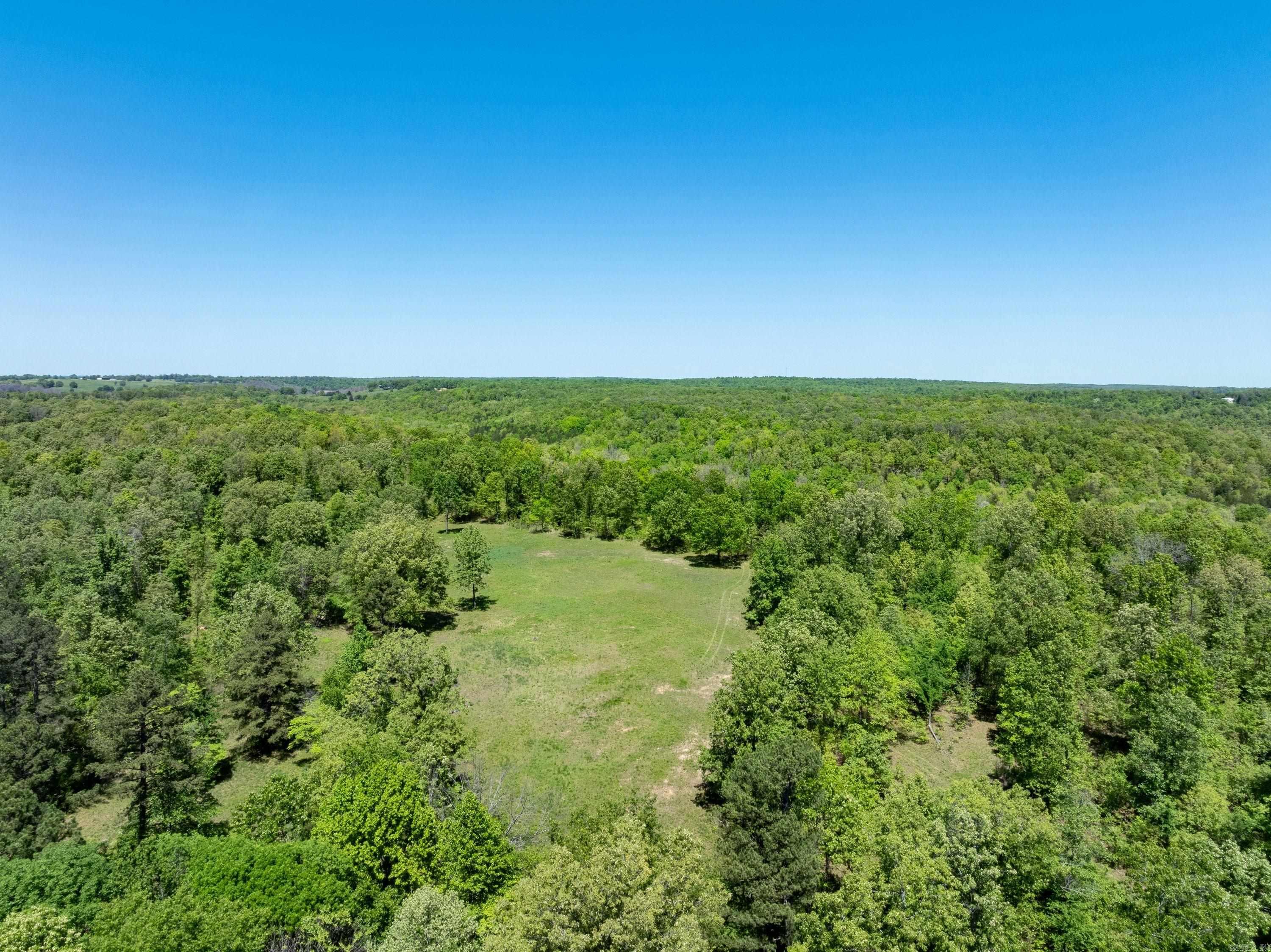 Photo 30 - Vacant Land for sale – 0 AR hwy  167   Evening Shade, AR