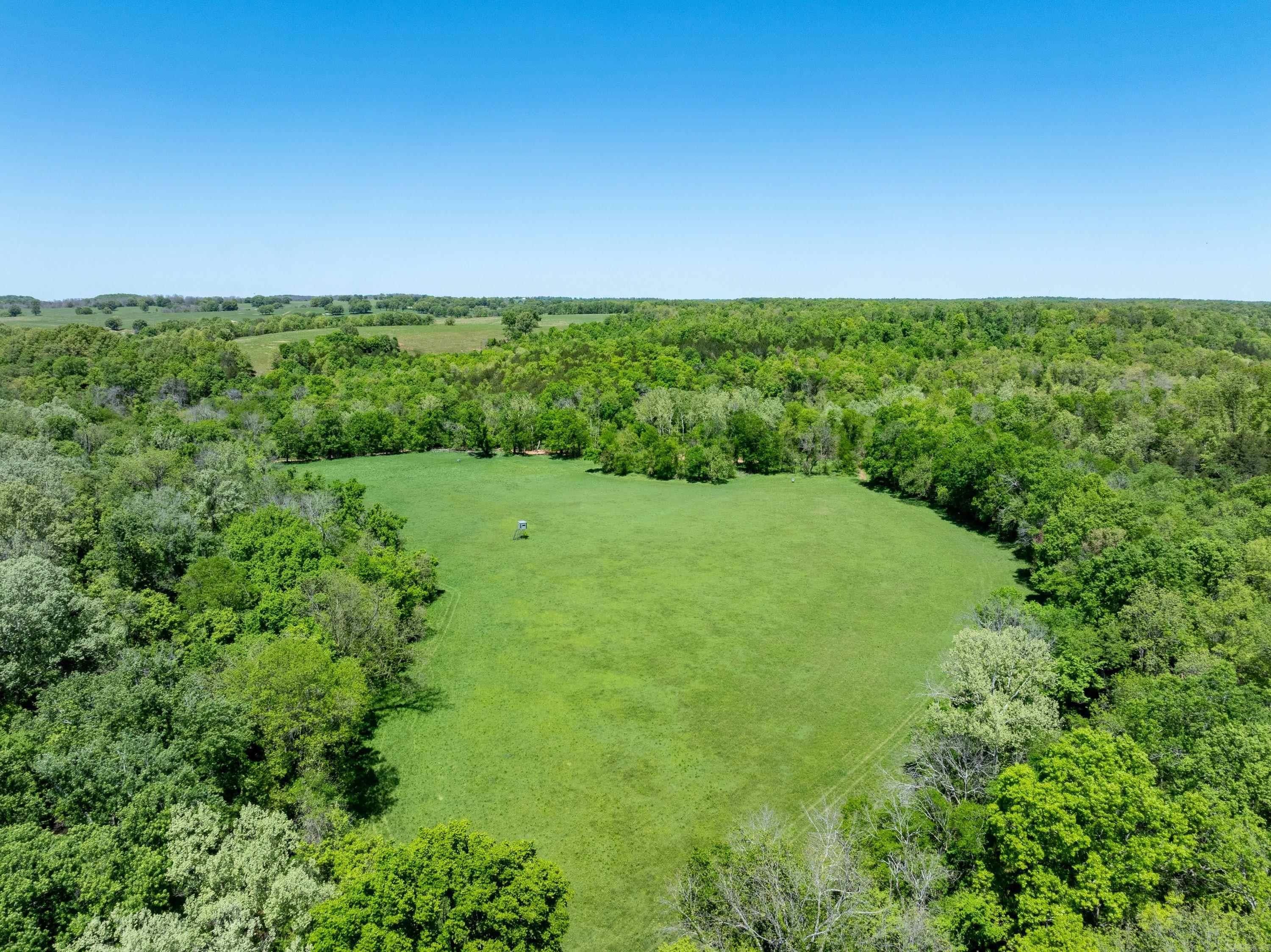 Photo 4 - Vacant Land for sale – 0 AR hwy  167   Evening Shade, AR