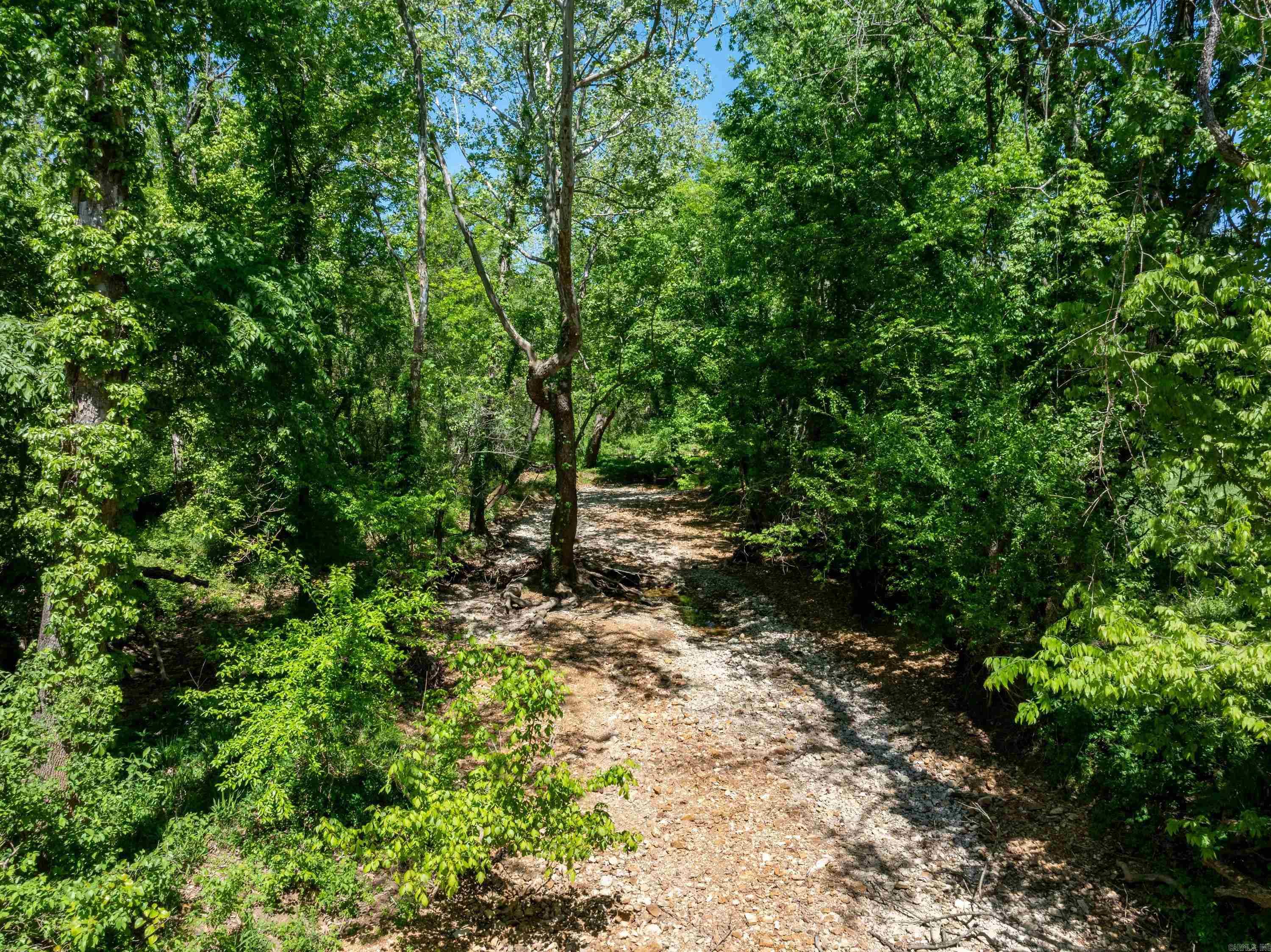 Photo 32 - Vacant Land for sale – 0 AR hwy  167   Evening Shade, AR