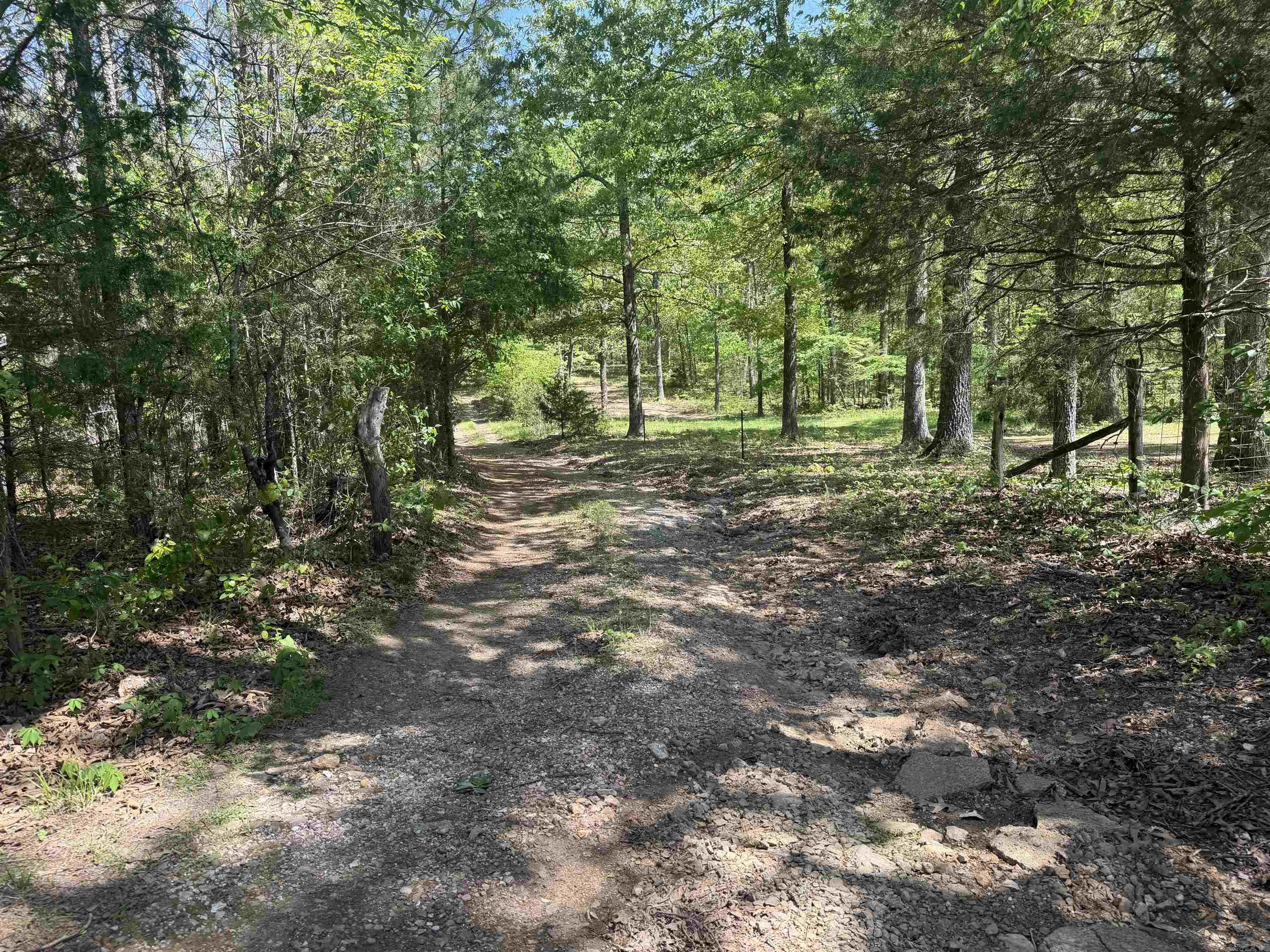 Photo 33 - Vacant Land for sale – 0 AR hwy  167   Evening Shade, AR