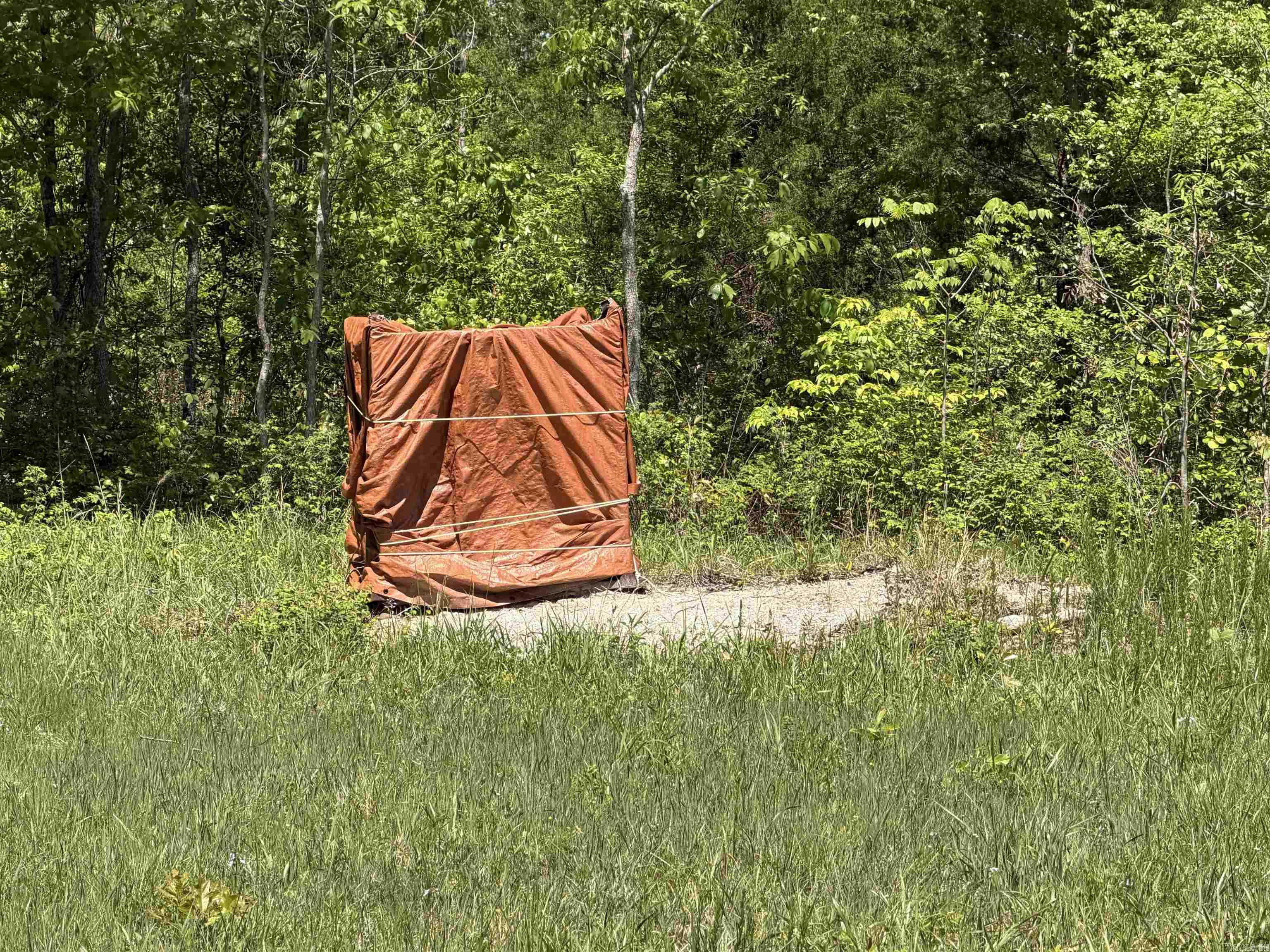 Photo 34 - Vacant Land for sale – 0 AR hwy  167   Evening Shade, AR