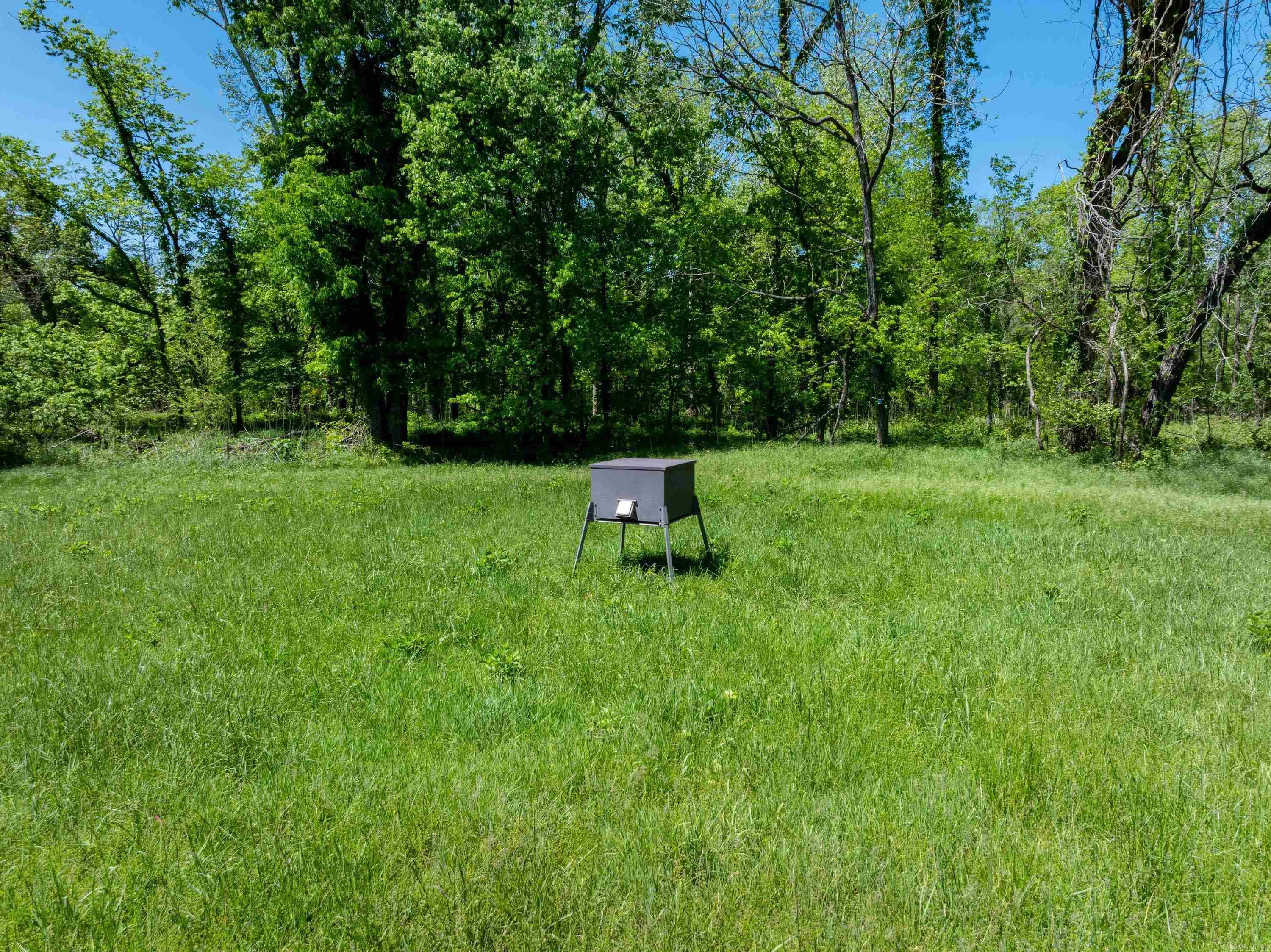 Photo 6 - Vacant Land for sale – 0 AR hwy  167   Evening Shade, AR