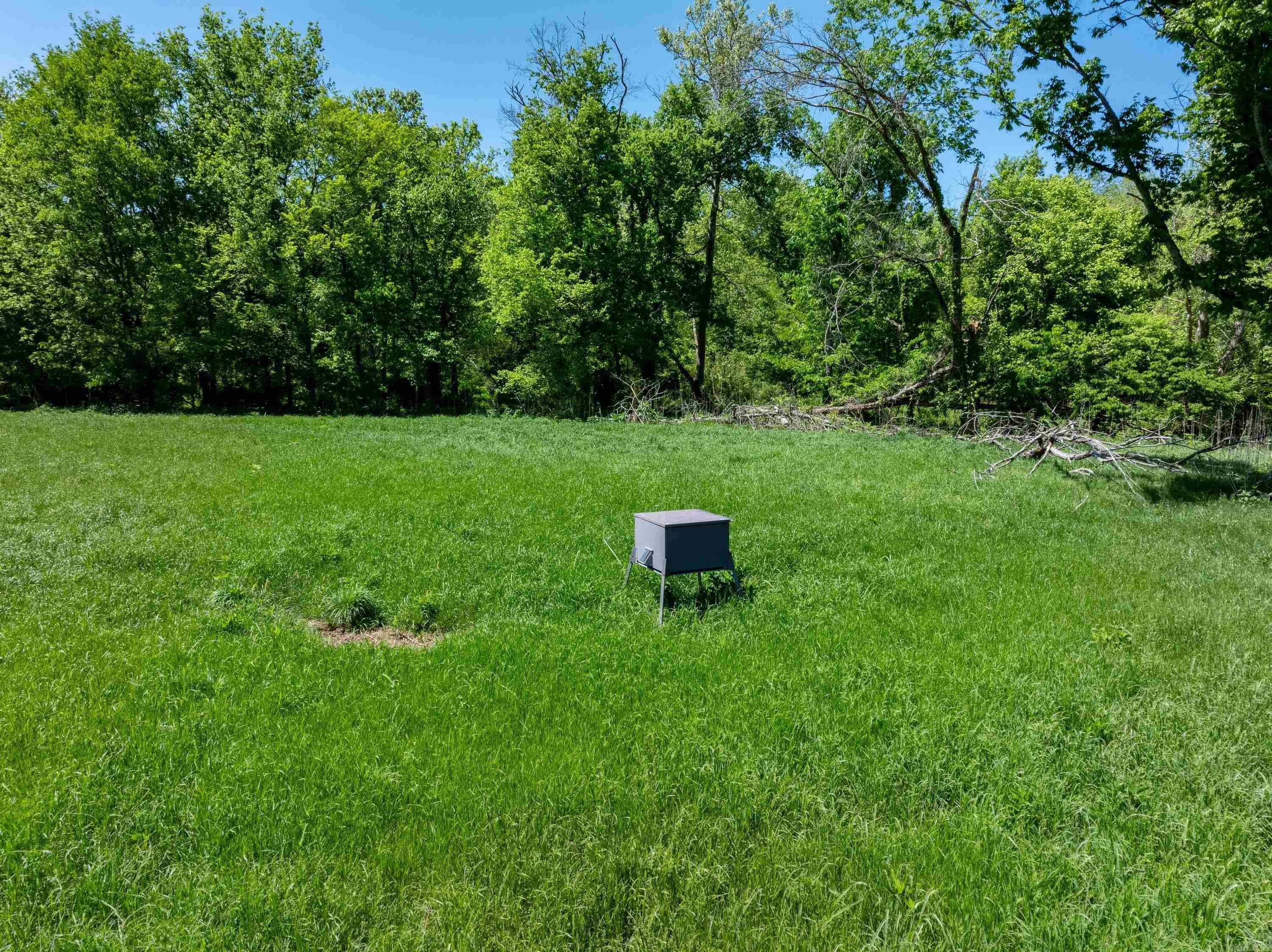 Photo 7 - Vacant Land for sale – 0 AR hwy  167   Evening Shade, AR