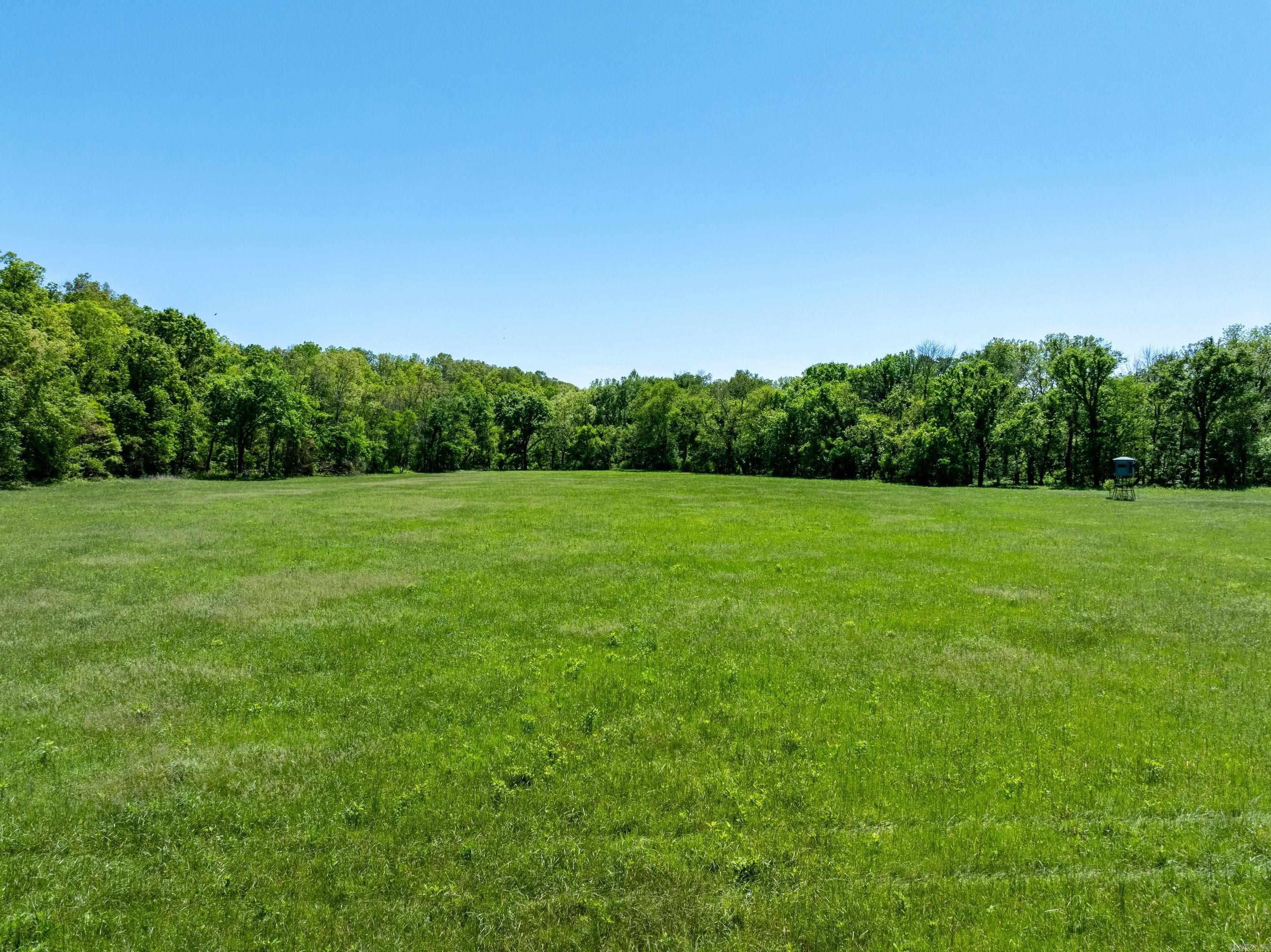 Photo 8 - Vacant Land for sale – 0 AR hwy  167   Evening Shade, AR