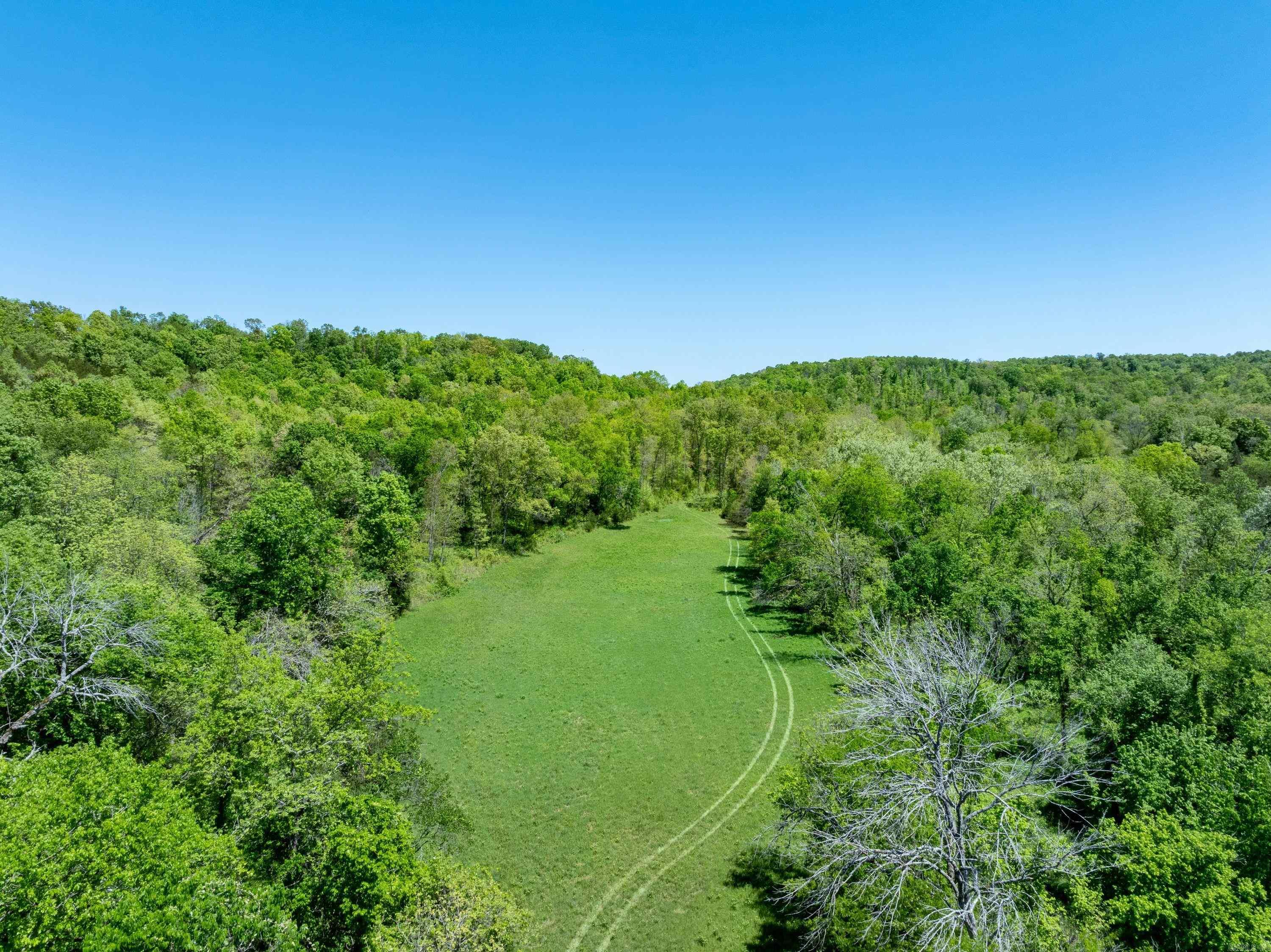 Photo 9 - Vacant Land for sale – 0 AR hwy  167   Evening Shade, AR