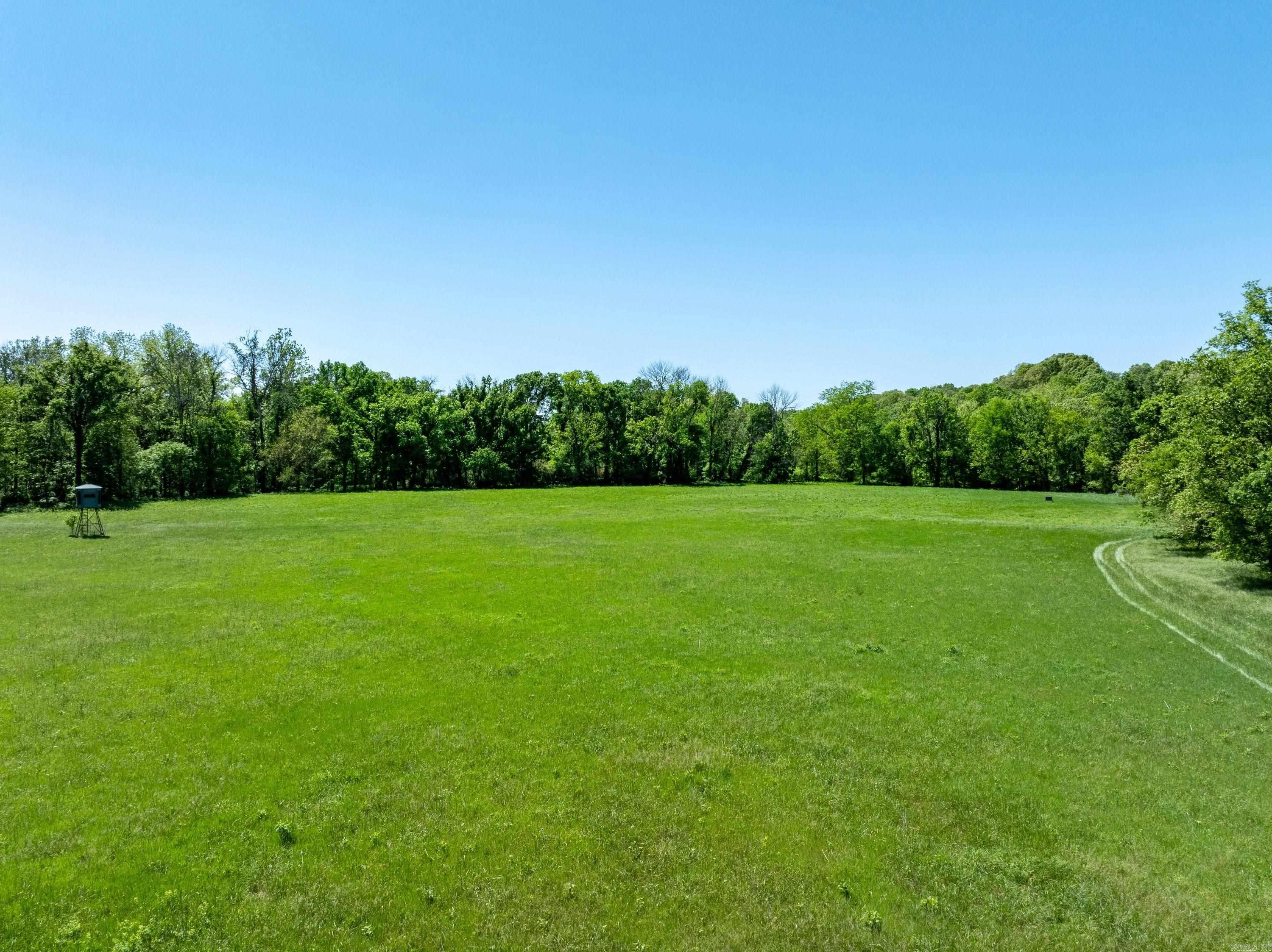 Photo 10 - Vacant Land for sale – 0 AR hwy  167   Evening Shade, AR