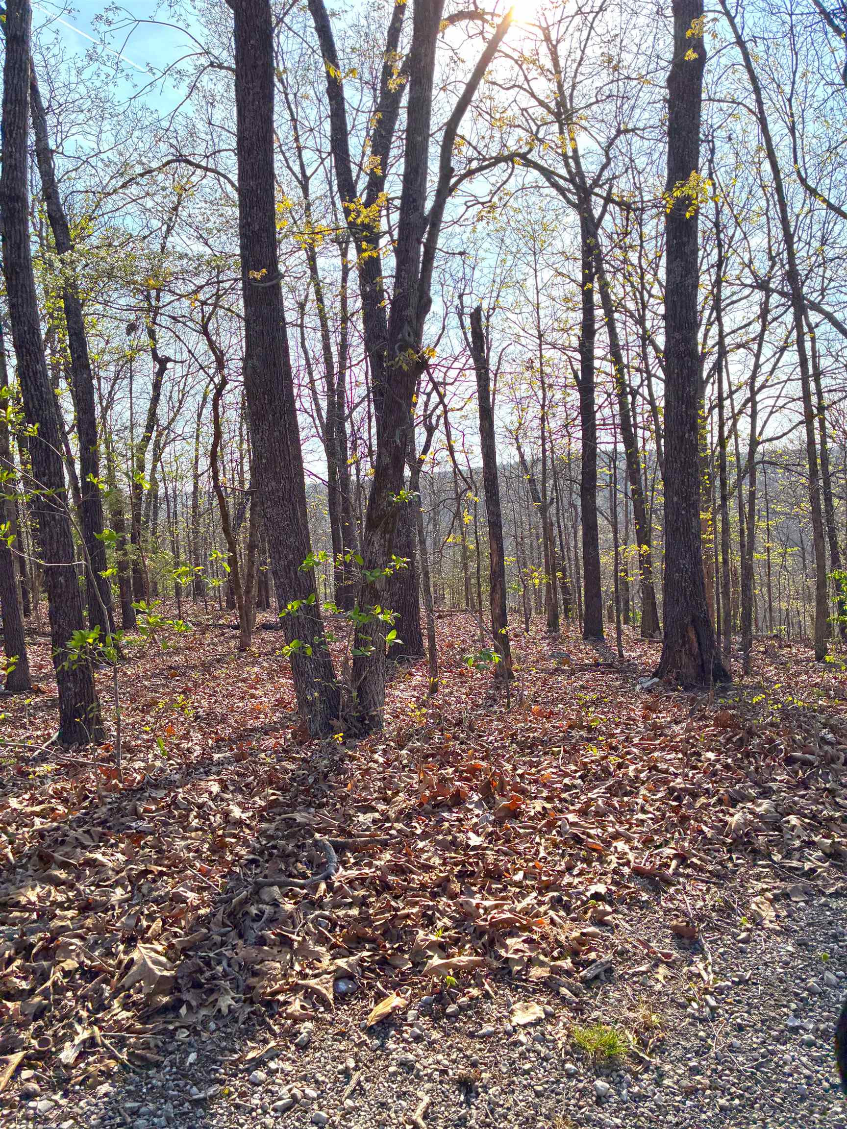 Vacant Land for sale –   Wewaka   Cherokee Village, AR