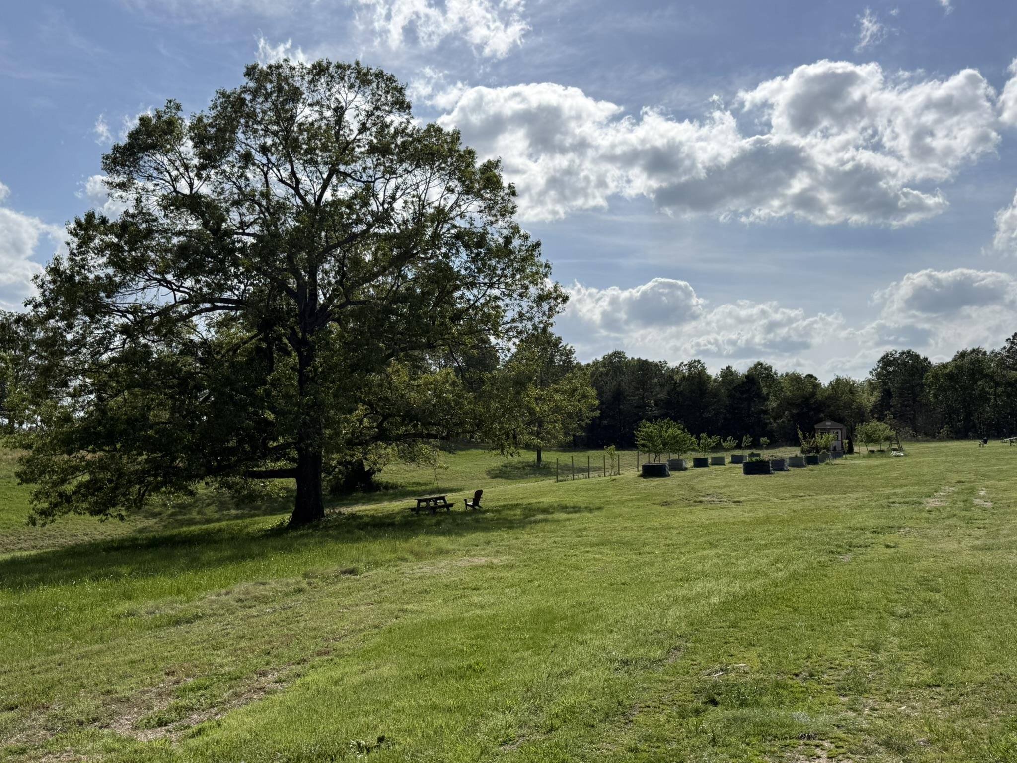 Photo 45 - Residential for sale – 378  Yancey Road   Oxford, AR