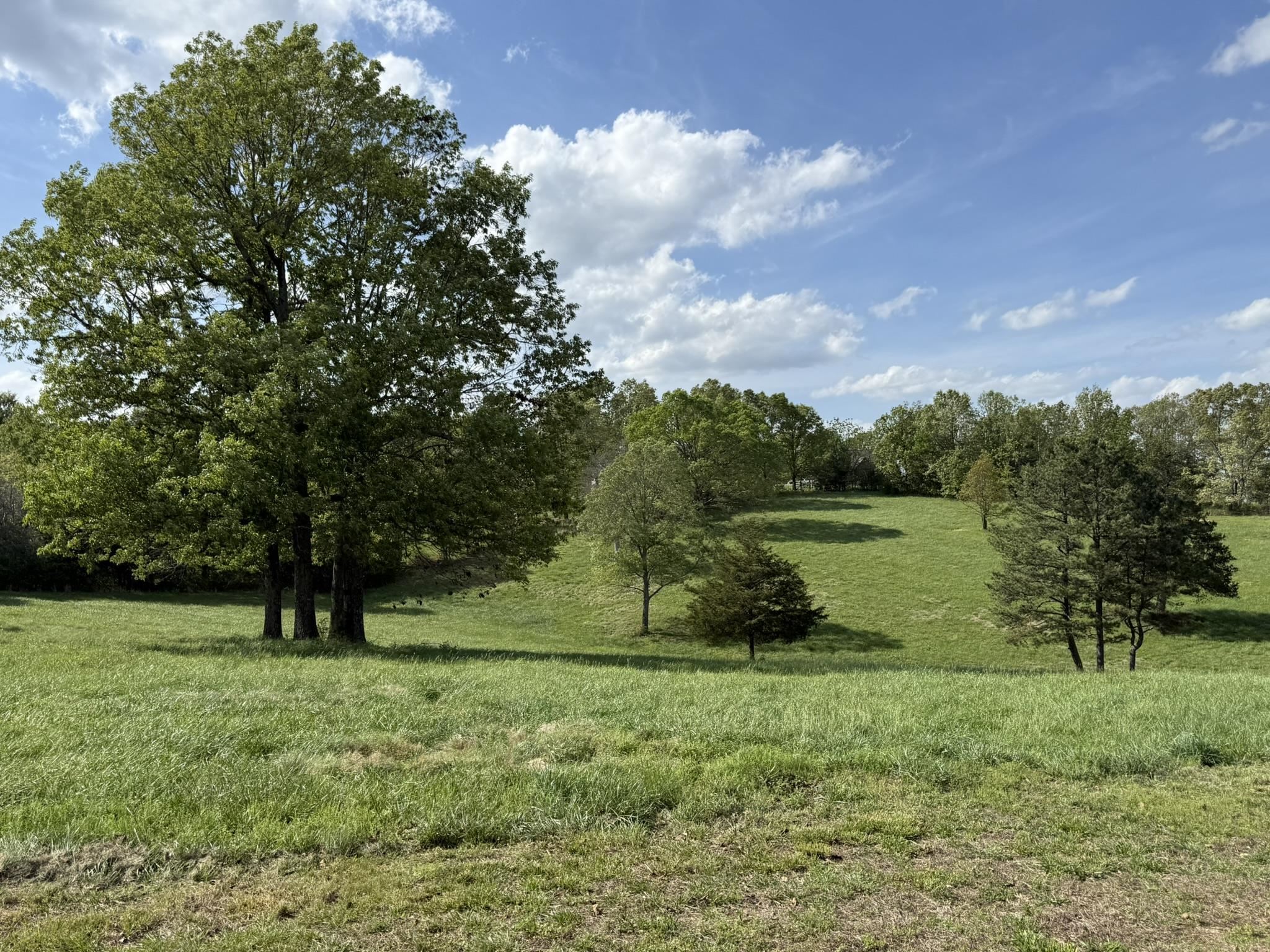 Photo 47 - Residential for sale – 378  Yancey Road   Oxford, AR