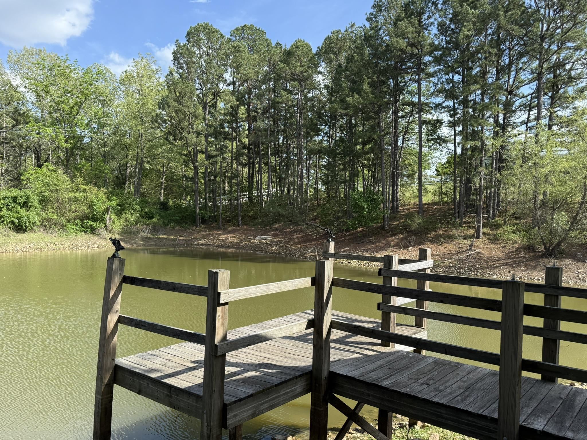 Photo 8 - Residential for sale – 378  Yancey Road   Oxford, AR