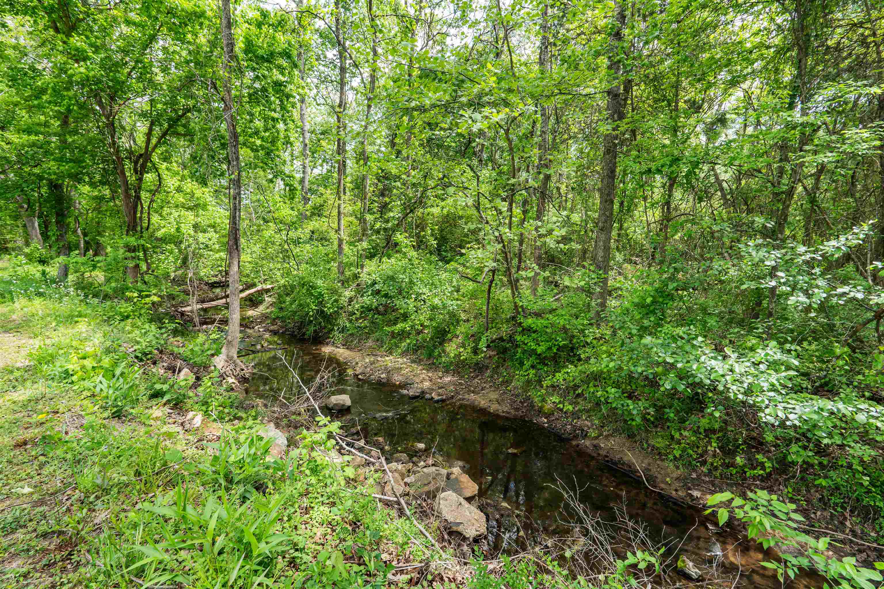 Photo 28 - Residential for sale – 215 W Main Street   Evening Shade, AR