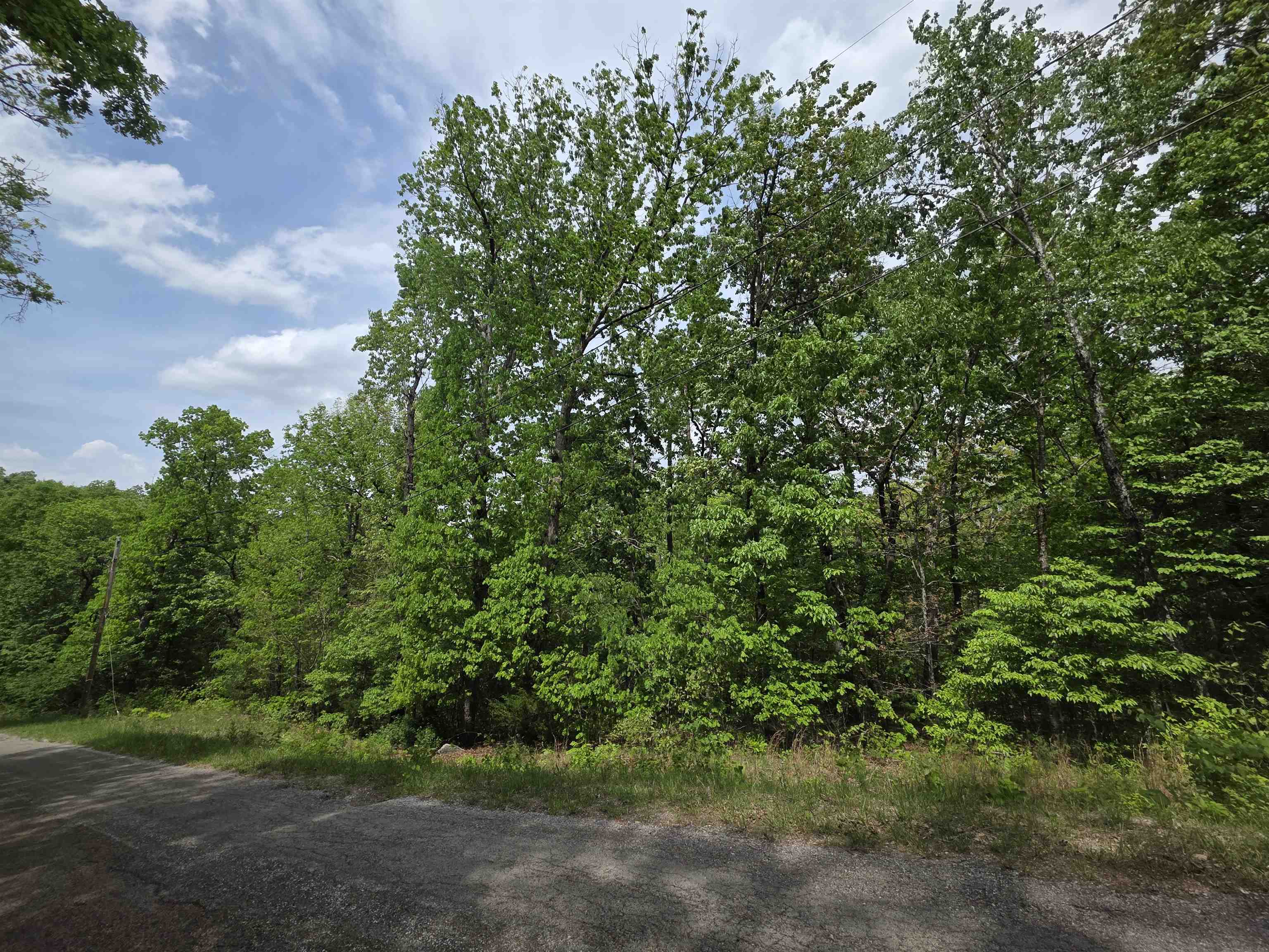 Photo 2 - Vacant Land for sale – Multiple  Wahoo, Wabash & Ora   Cherokee Village, AR