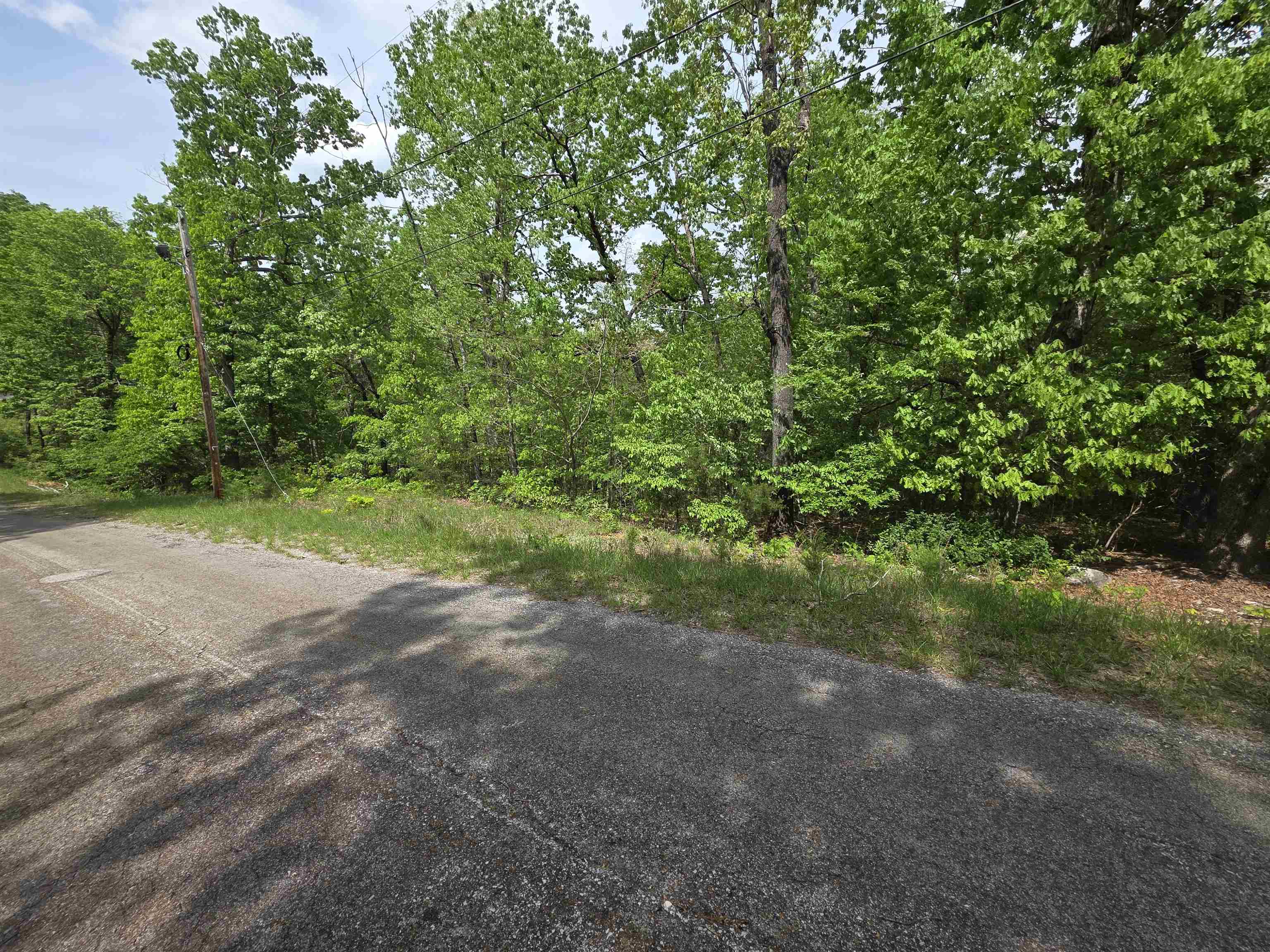 Photo 11 - Vacant Land for sale – Multiple  Wahoo, Wabash & Ora   Cherokee Village, AR