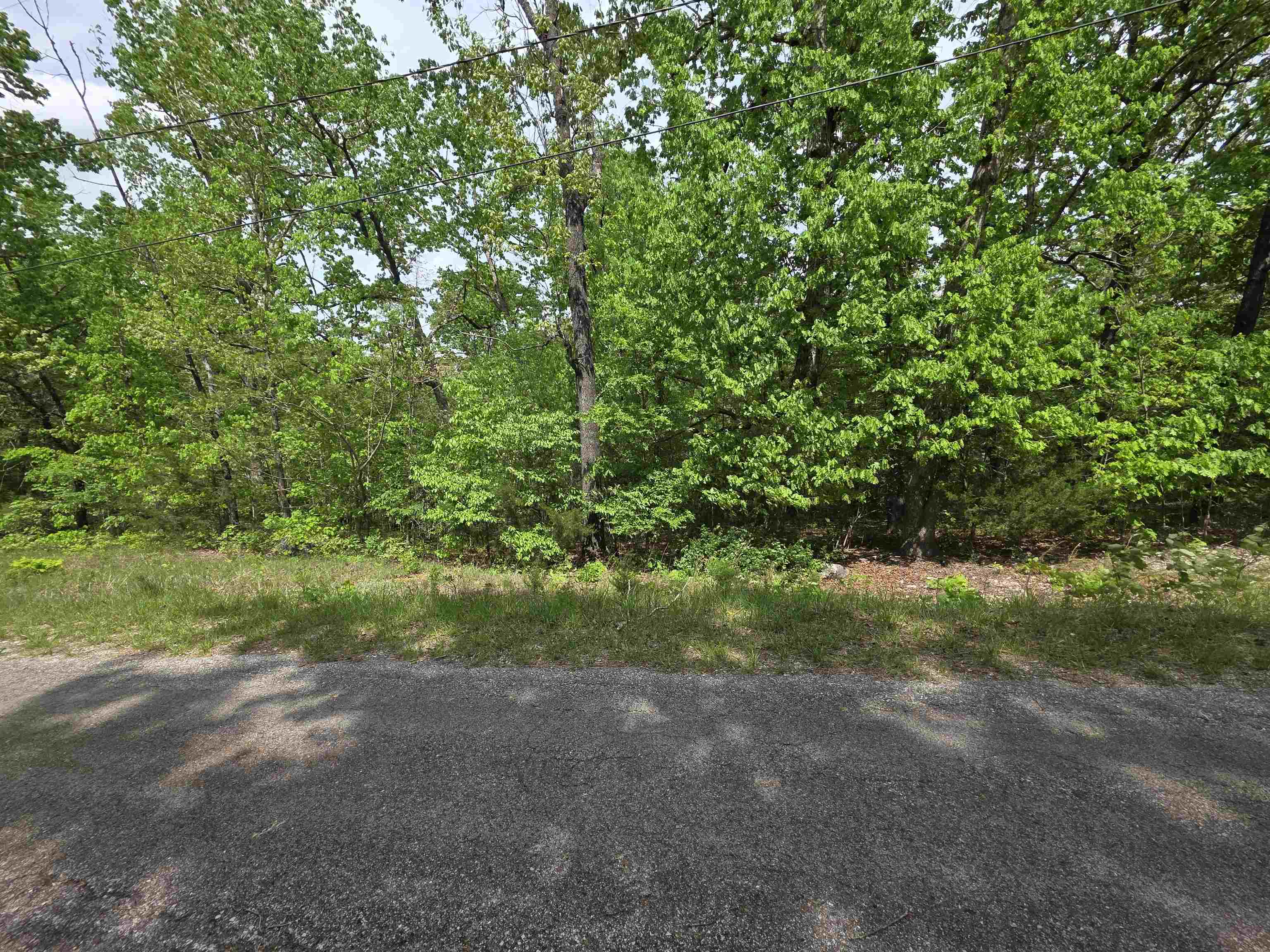 Photo 12 - Vacant Land for sale – Multiple  Wahoo, Wabash & Ora   Cherokee Village, AR