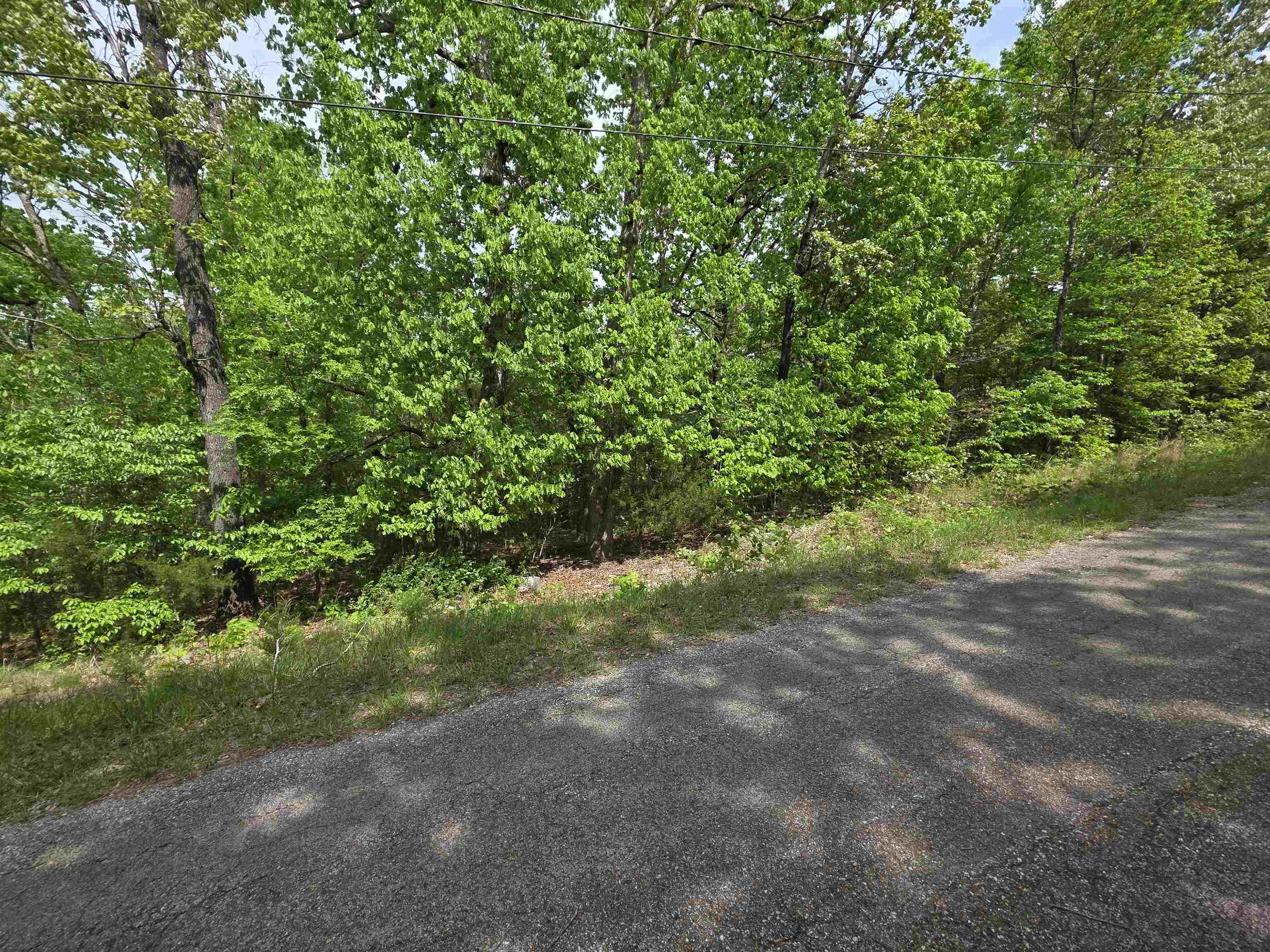 Photo 13 - Vacant Land for sale – Multiple  Wahoo, Wabash & Ora   Cherokee Village, AR