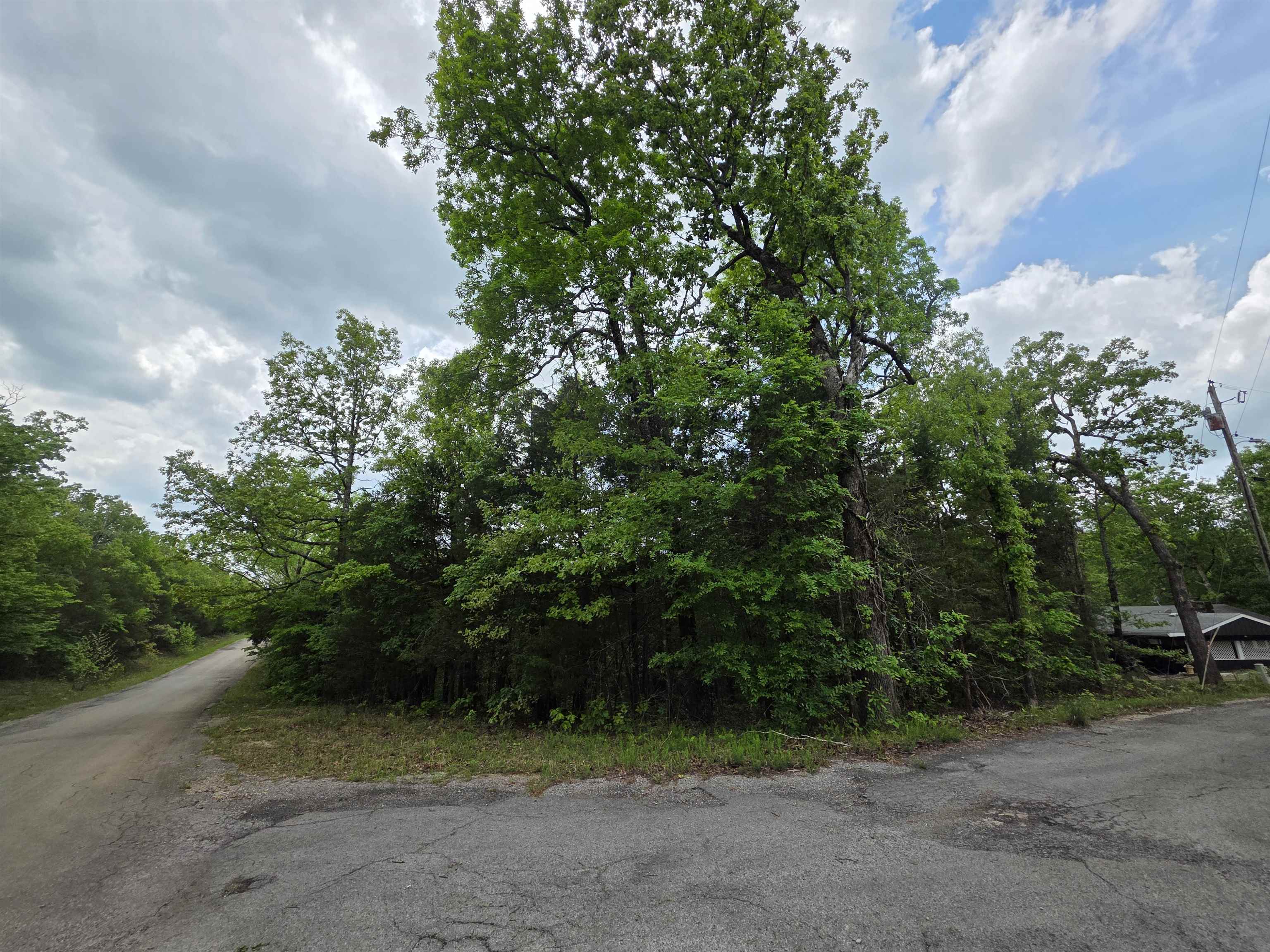 Photo 16 - Vacant Land for sale – Multiple  Wahoo, Wabash & Ora   Cherokee Village, AR