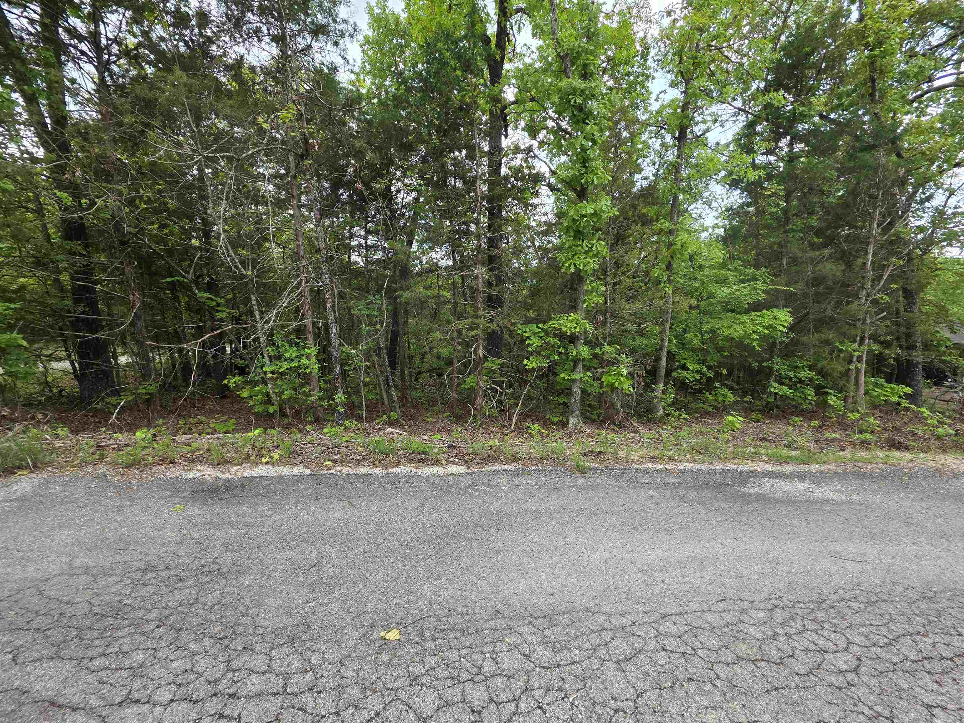 Photo 17 - Vacant Land for sale – Multiple  Wahoo, Wabash & Ora   Cherokee Village, AR
