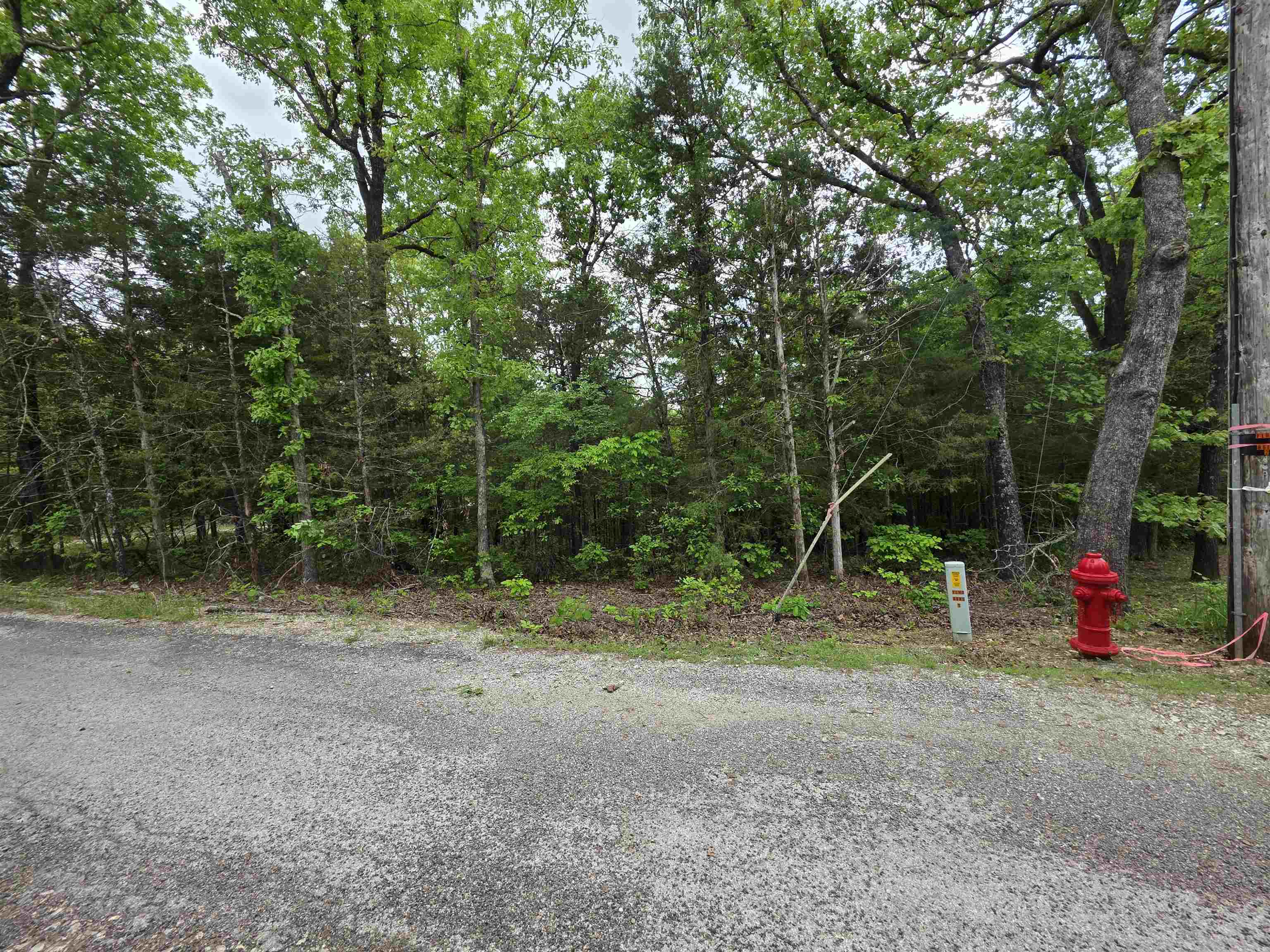 Photo 18 - Vacant Land for sale – Multiple  Wahoo, Wabash & Ora   Cherokee Village, AR