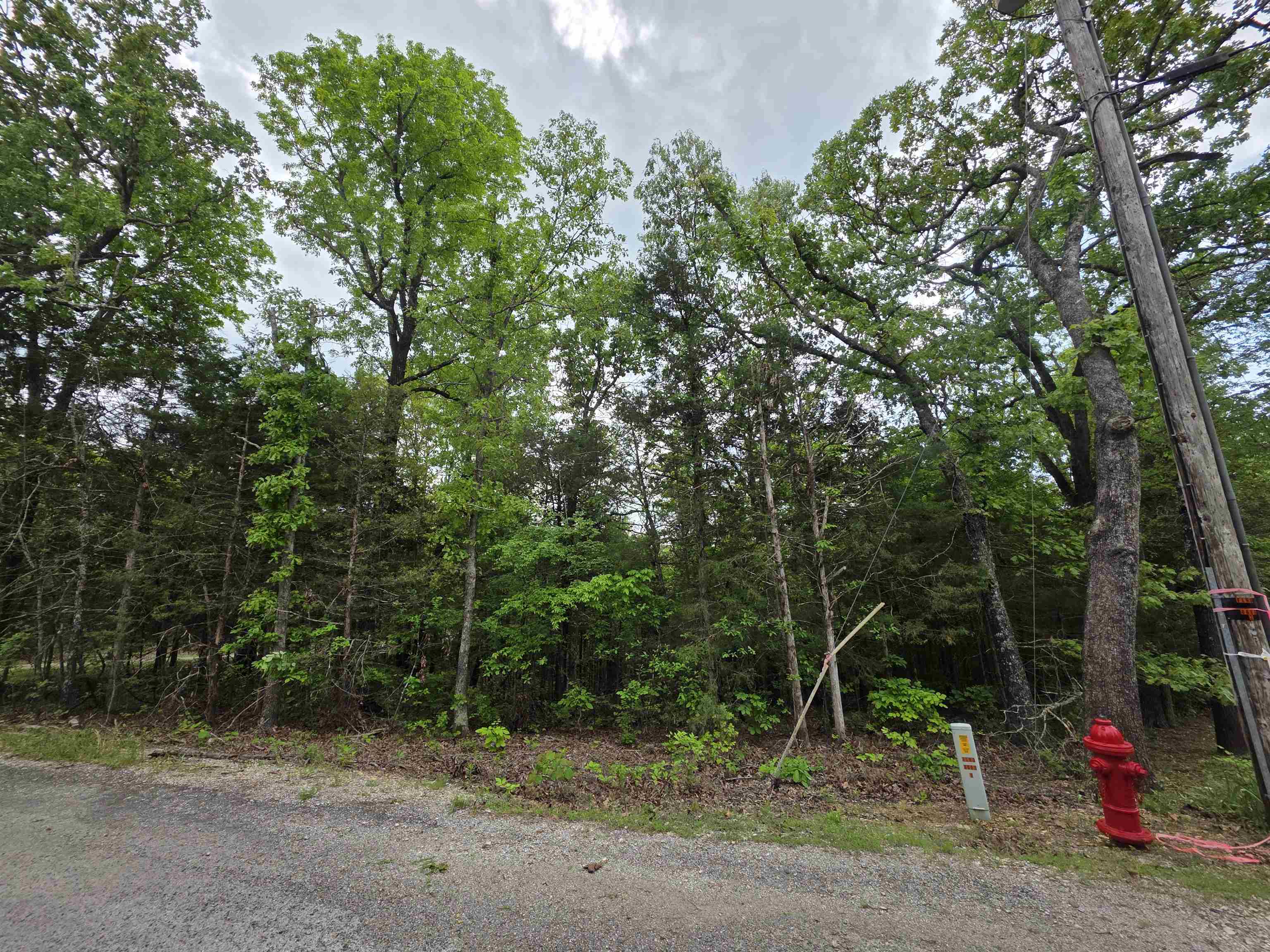 Photo 19 - Vacant Land for sale – Multiple  Wahoo, Wabash & Ora   Cherokee Village, AR