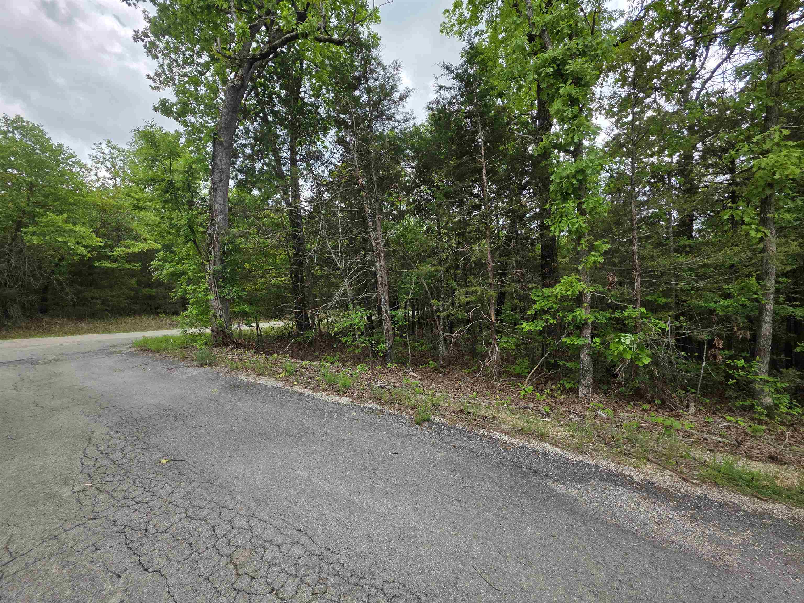 Photo 20 - Vacant Land for sale – Multiple  Wahoo, Wabash & Ora   Cherokee Village, AR