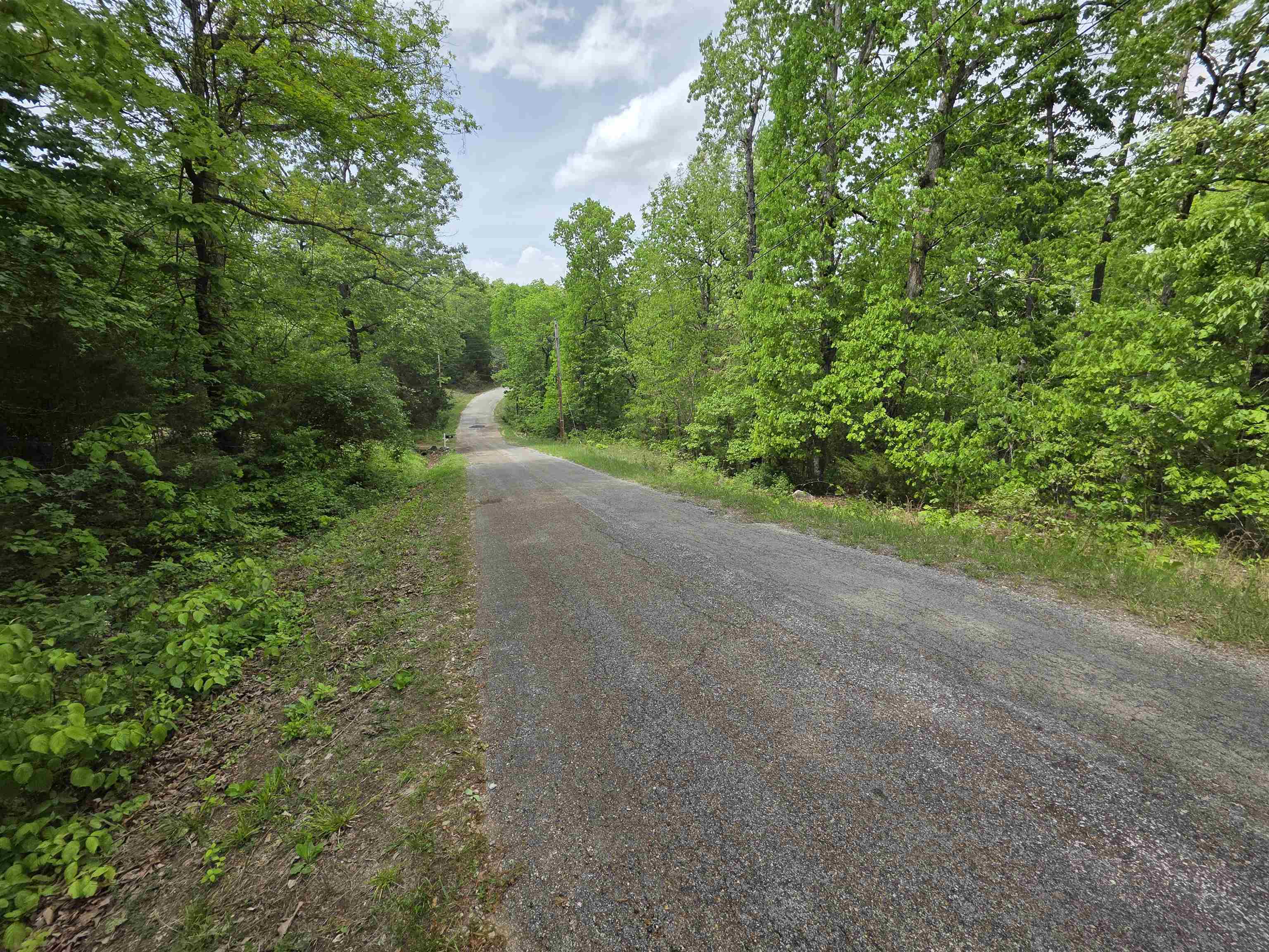 Photo 3 - Vacant Land for sale – Multiple  Wahoo, Wabash & Ora   Cherokee Village, AR