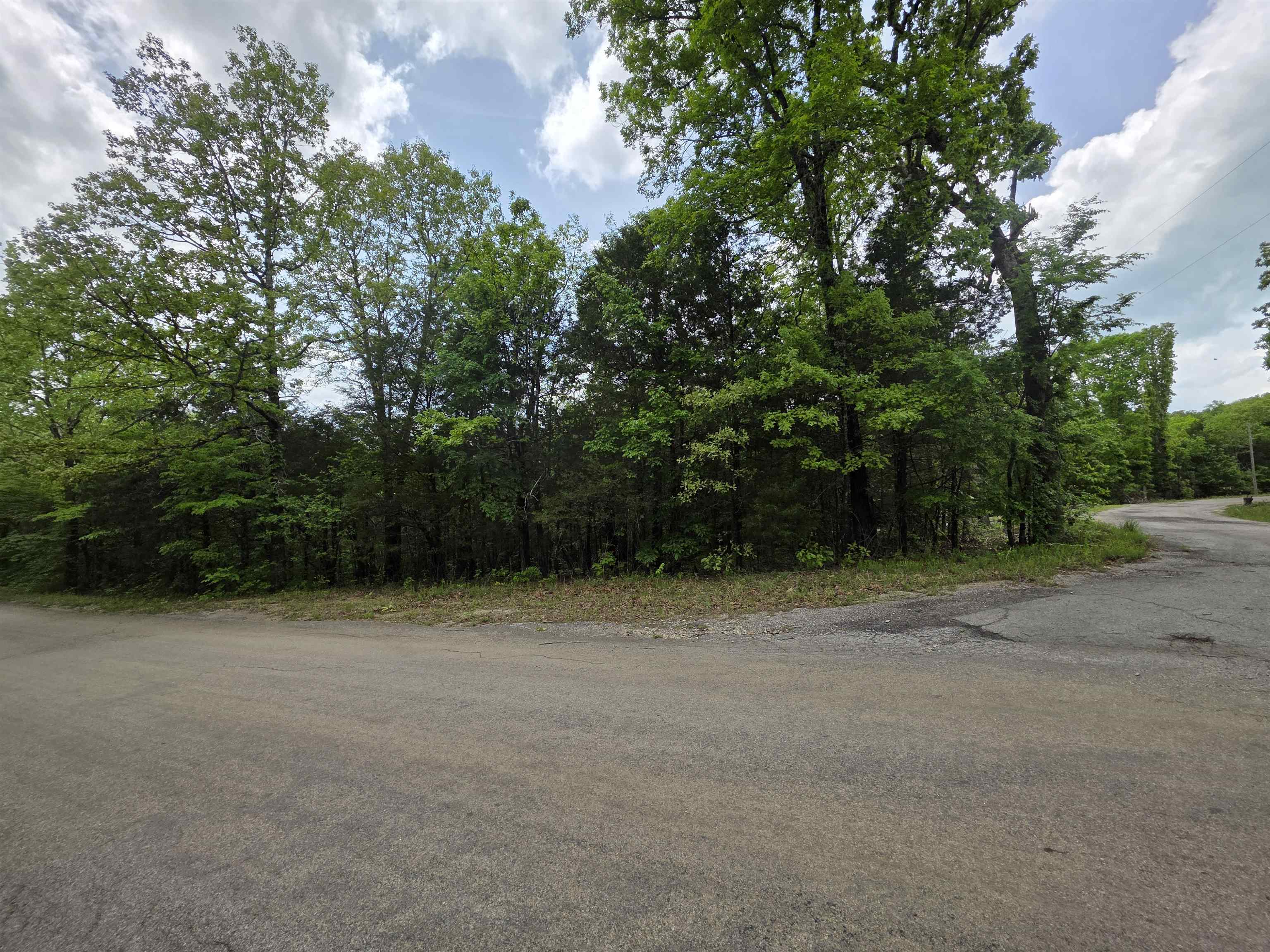 Photo 21 - Vacant Land for sale – Multiple  Wahoo, Wabash & Ora   Cherokee Village, AR