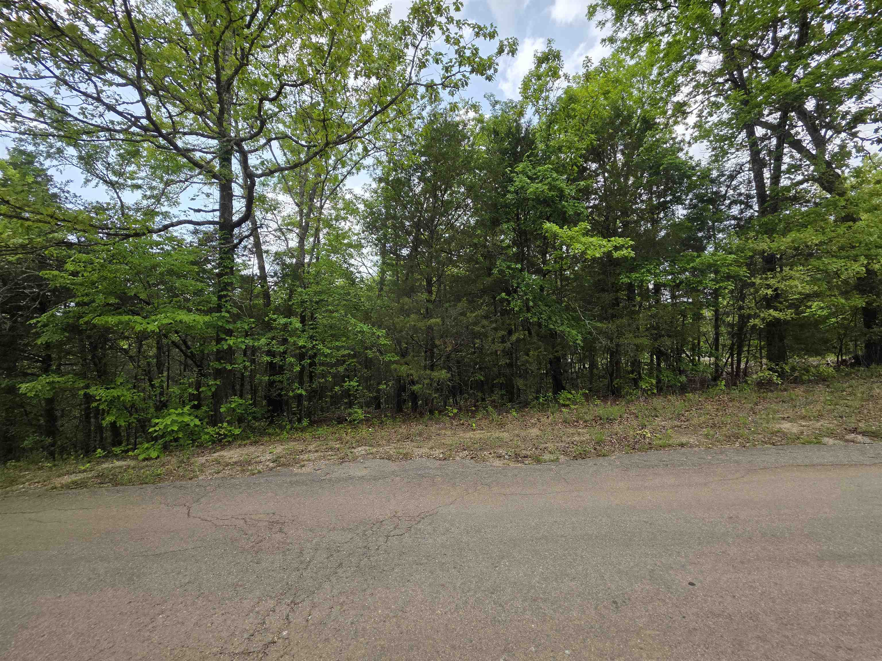 Photo 22 - Vacant Land for sale – Multiple  Wahoo, Wabash & Ora   Cherokee Village, AR