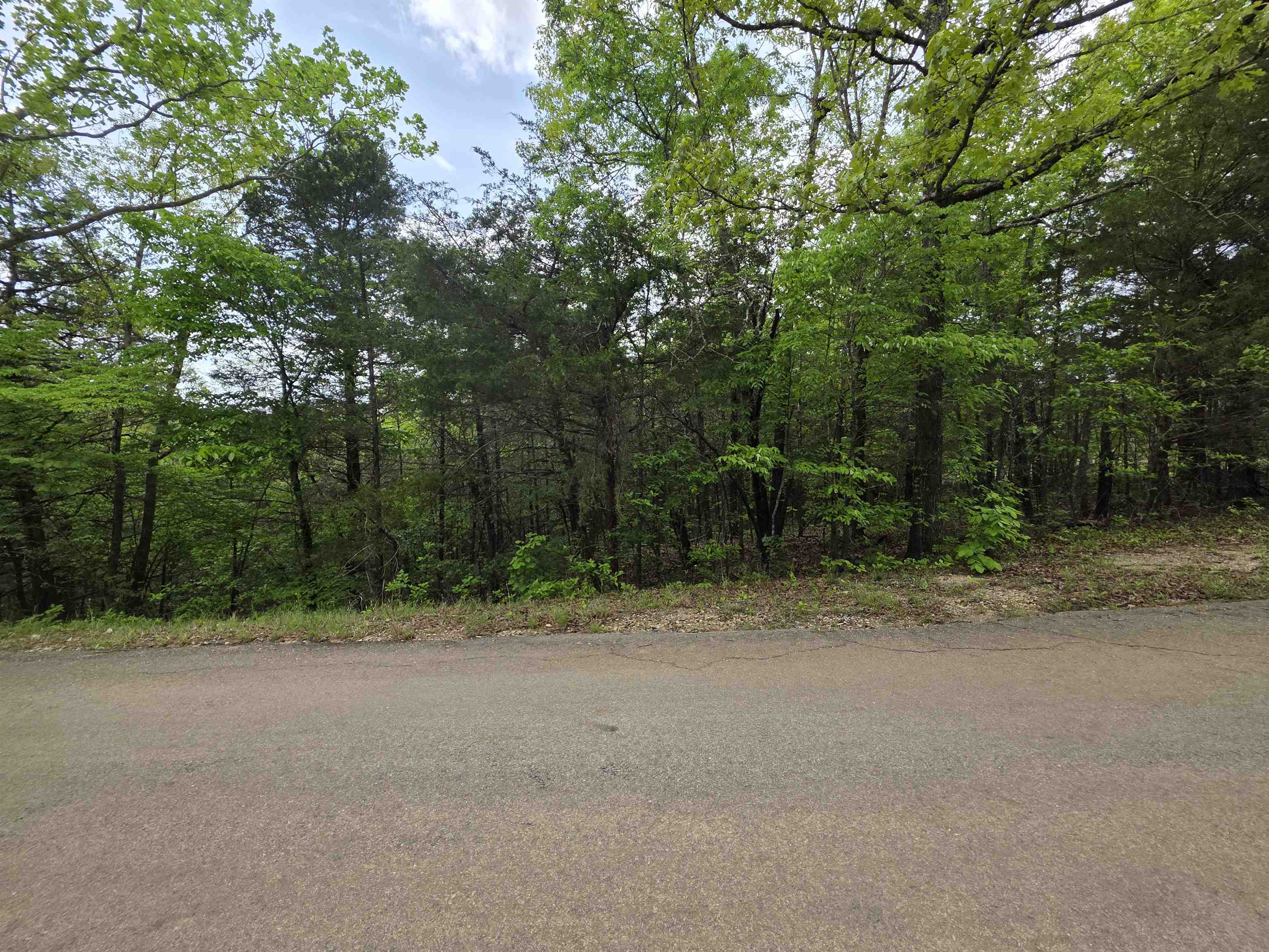 Photo 23 - Vacant Land for sale – Multiple  Wahoo, Wabash & Ora   Cherokee Village, AR