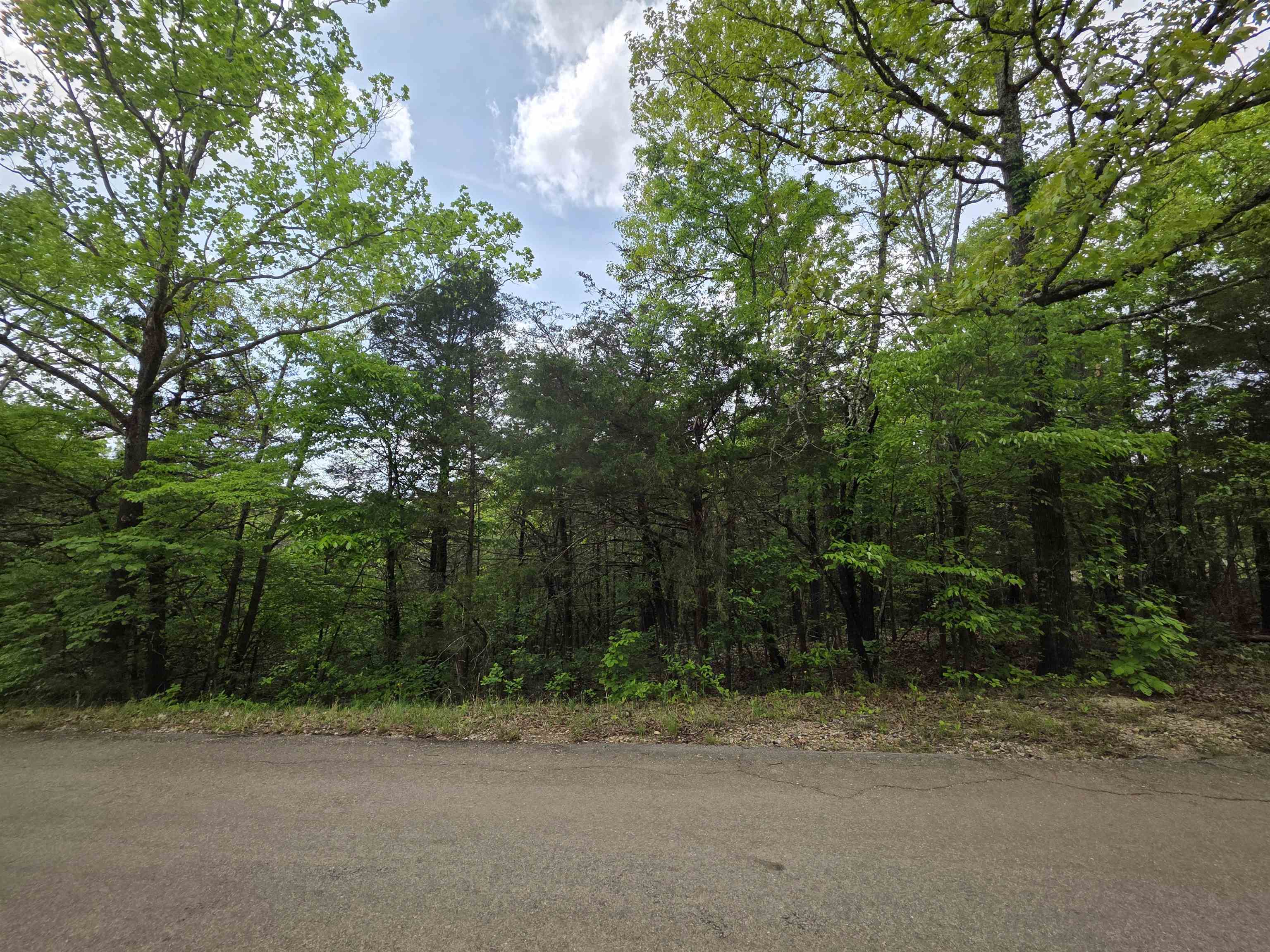 Photo 24 - Vacant Land for sale – Multiple  Wahoo, Wabash & Ora   Cherokee Village, AR