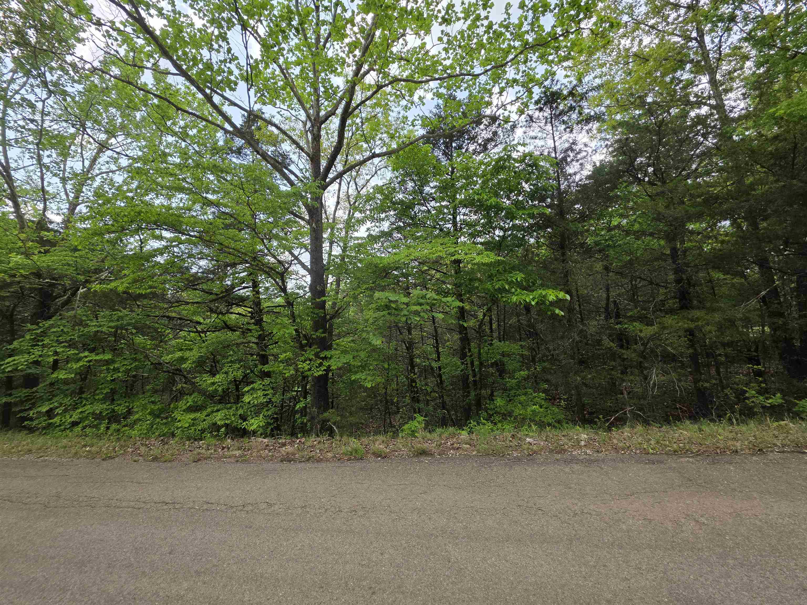 Photo 25 - Vacant Land for sale – Multiple  Wahoo, Wabash & Ora   Cherokee Village, AR