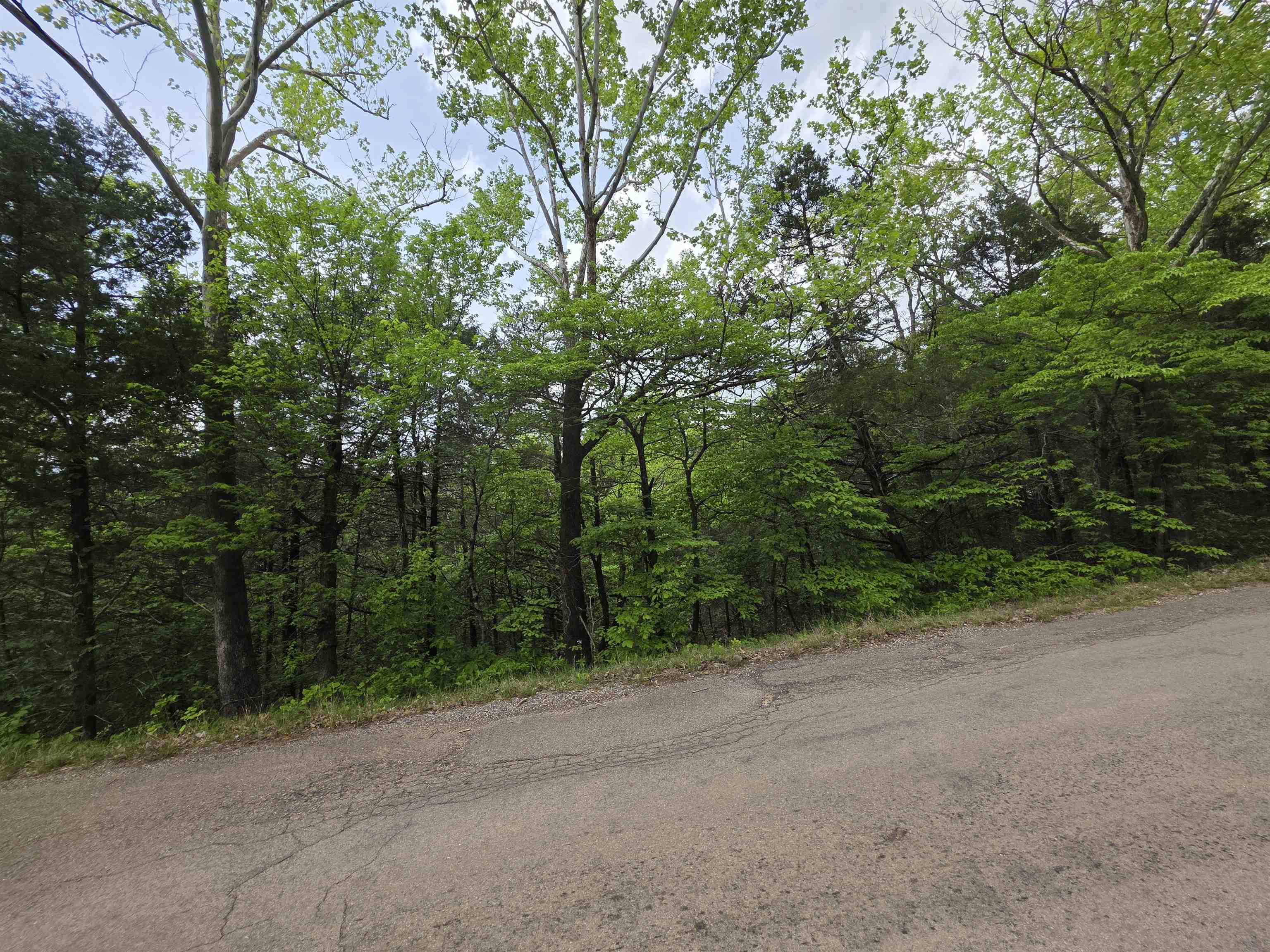 Photo 26 - Vacant Land for sale – Multiple  Wahoo, Wabash & Ora   Cherokee Village, AR