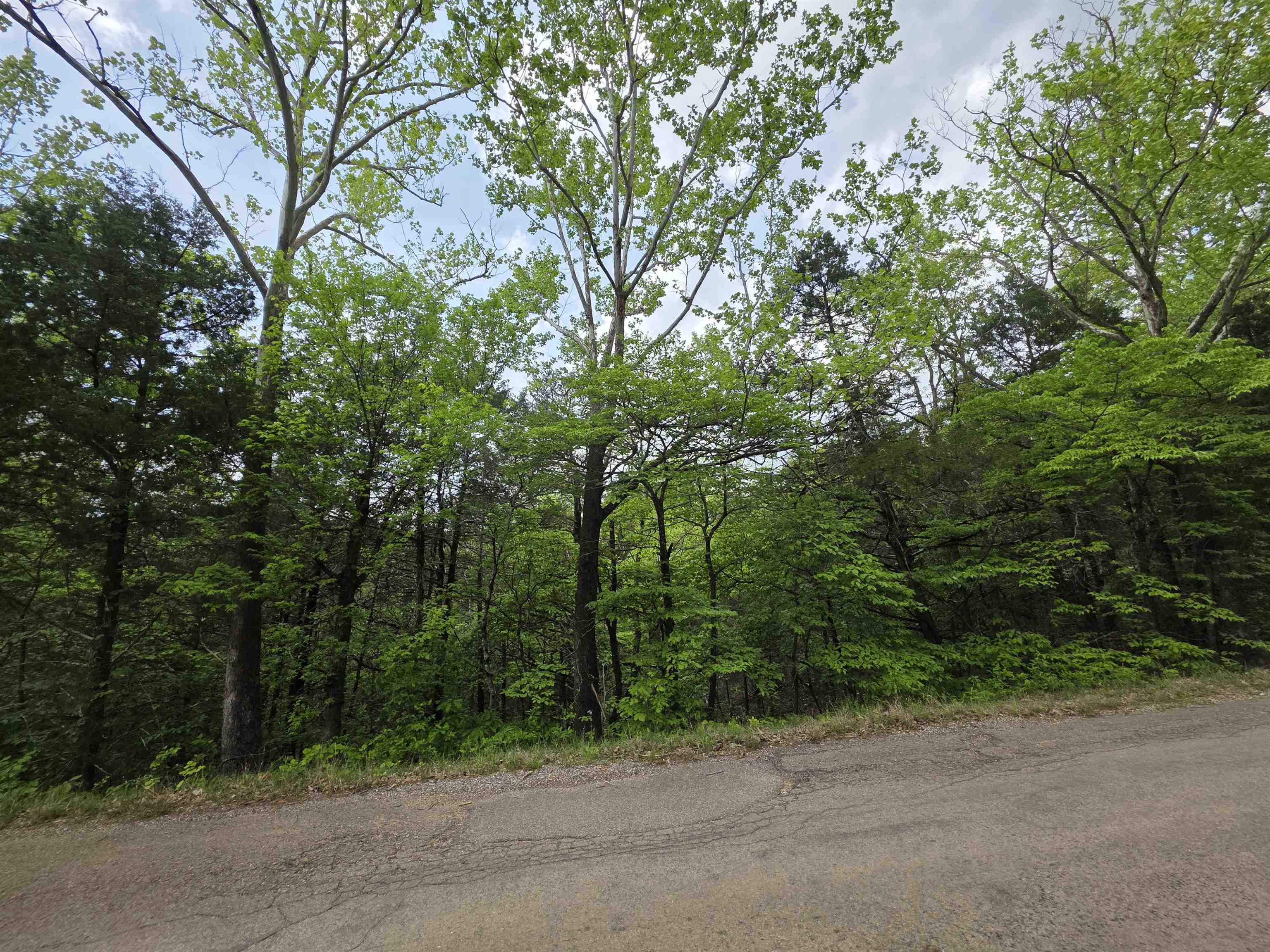 Photo 27 - Vacant Land for sale – Multiple  Wahoo, Wabash & Ora   Cherokee Village, AR