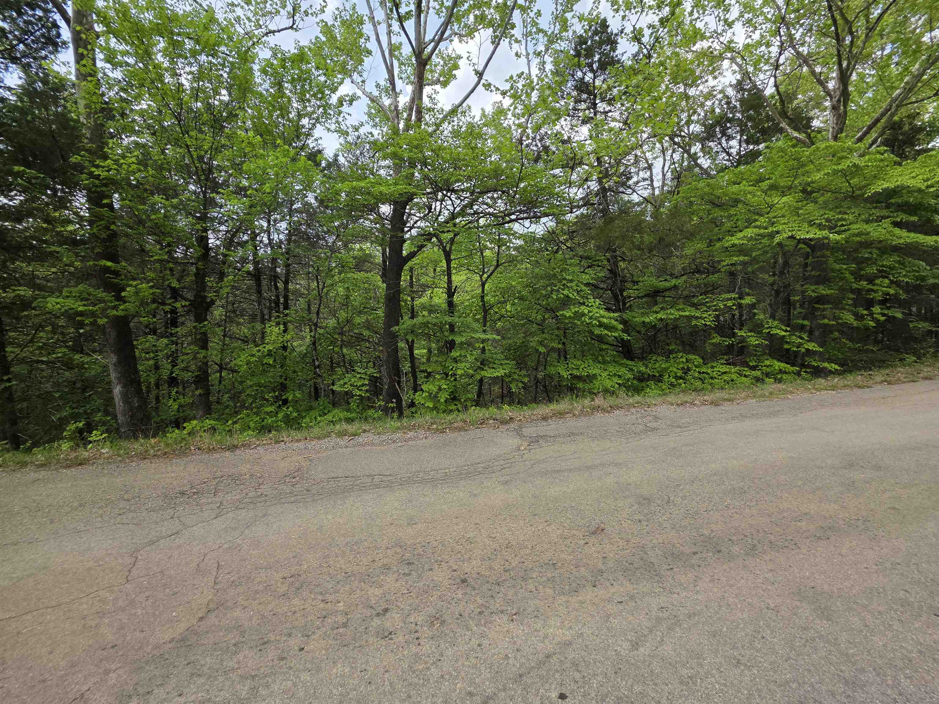 Photo 28 - Vacant Land for sale – Multiple  Wahoo, Wabash & Ora   Cherokee Village, AR