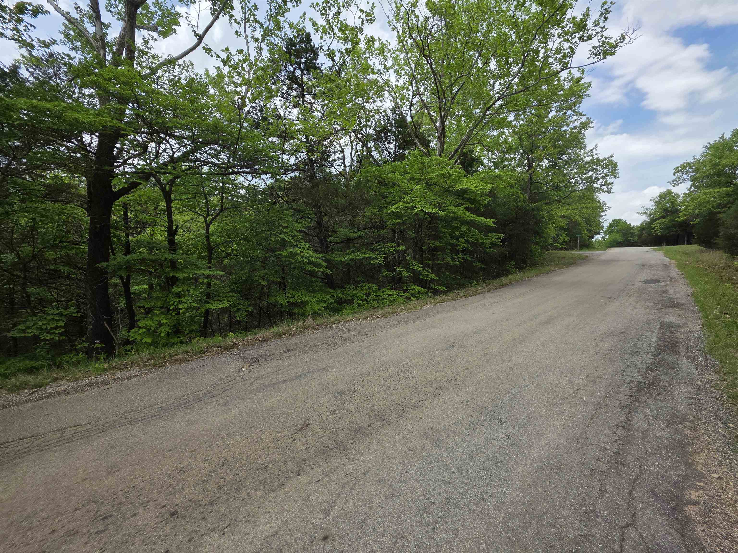 Photo 29 - Vacant Land for sale – Multiple  Wahoo, Wabash & Ora   Cherokee Village, AR