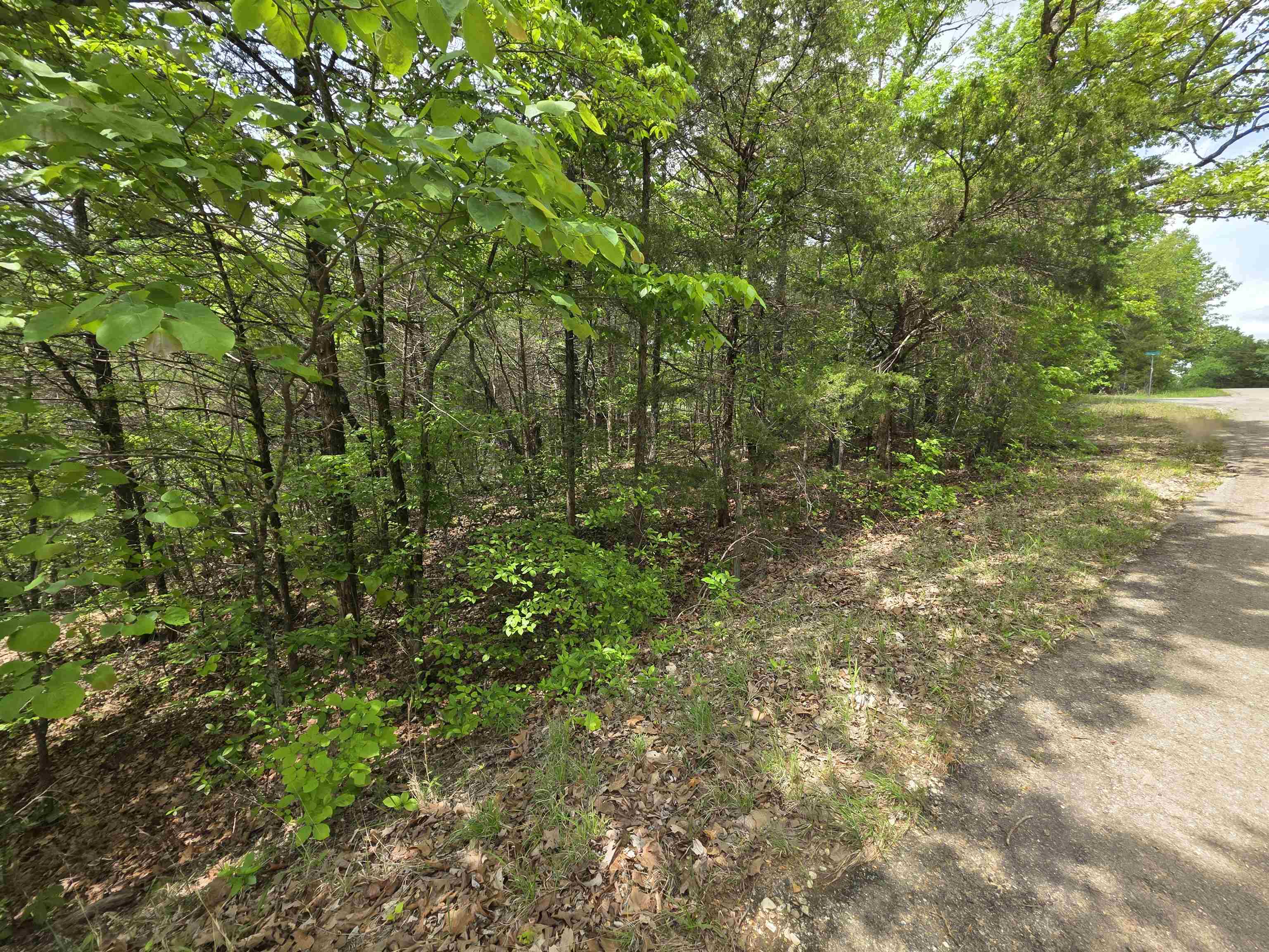Photo 30 - Vacant Land for sale – Multiple  Wahoo, Wabash & Ora   Cherokee Village, AR