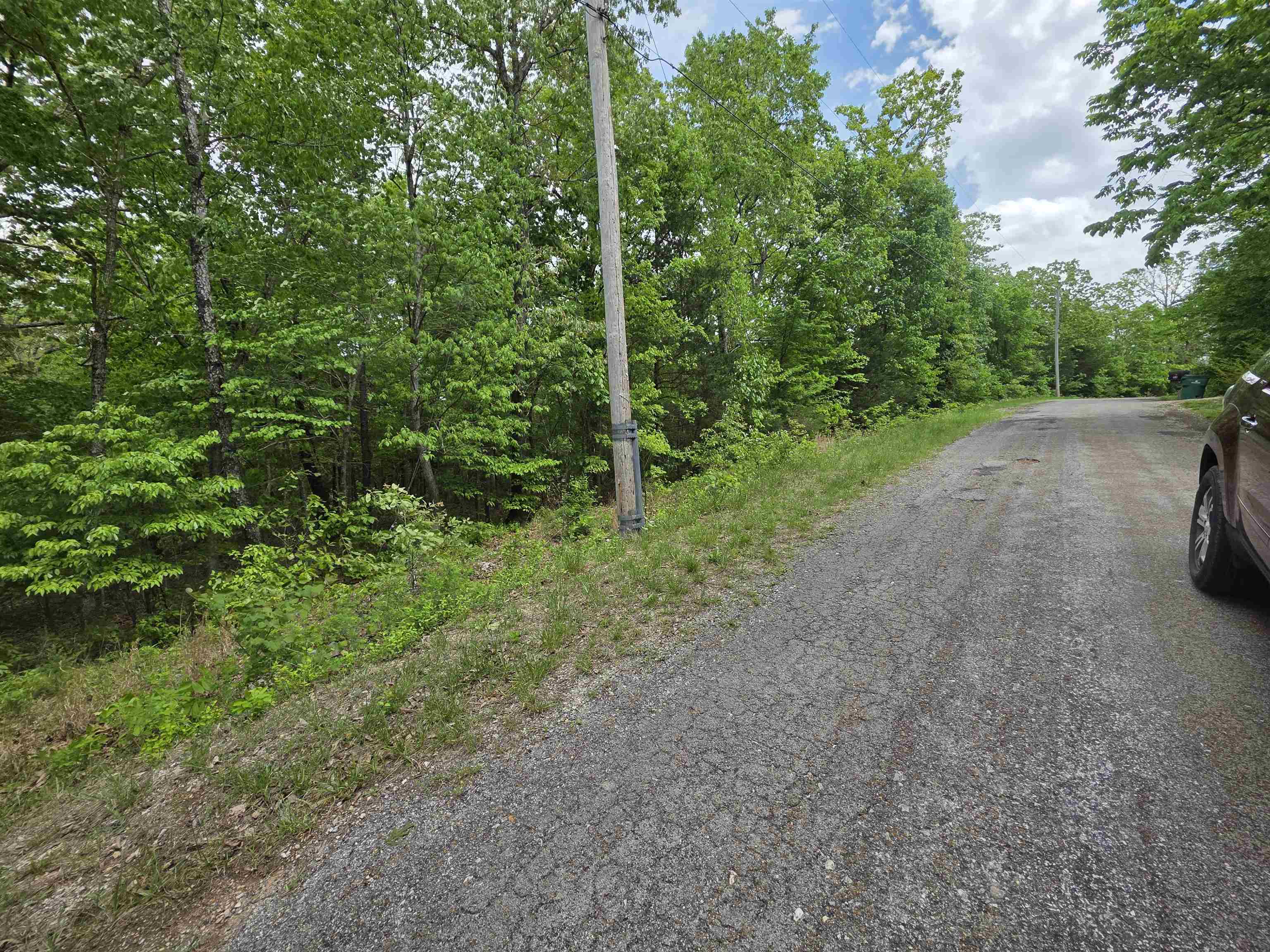 Photo 4 - Vacant Land for sale – Multiple  Wahoo, Wabash & Ora   Cherokee Village, AR