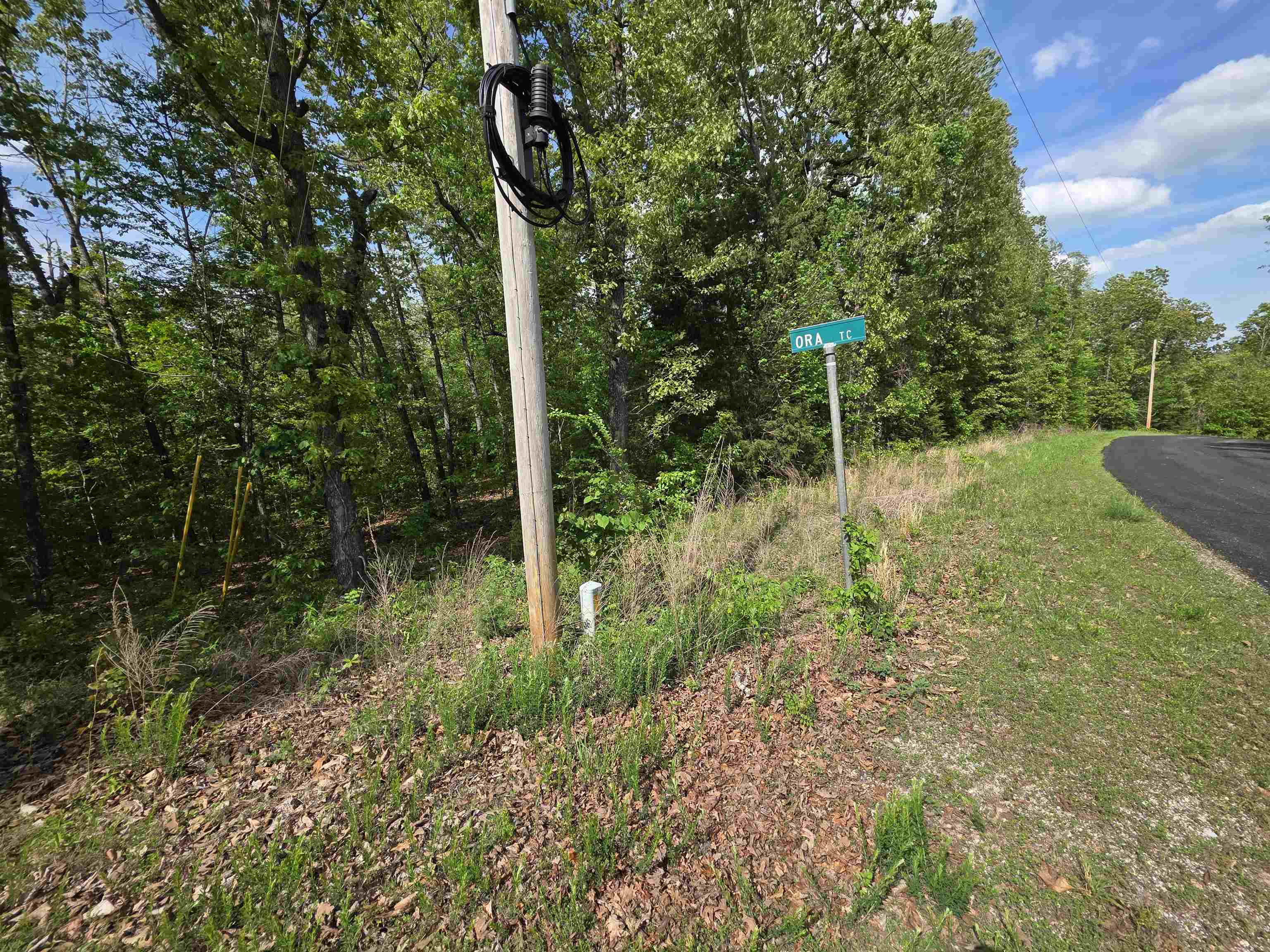 Photo 37 - Vacant Land for sale – Multiple  Wahoo, Wabash & Ora   Cherokee Village, AR