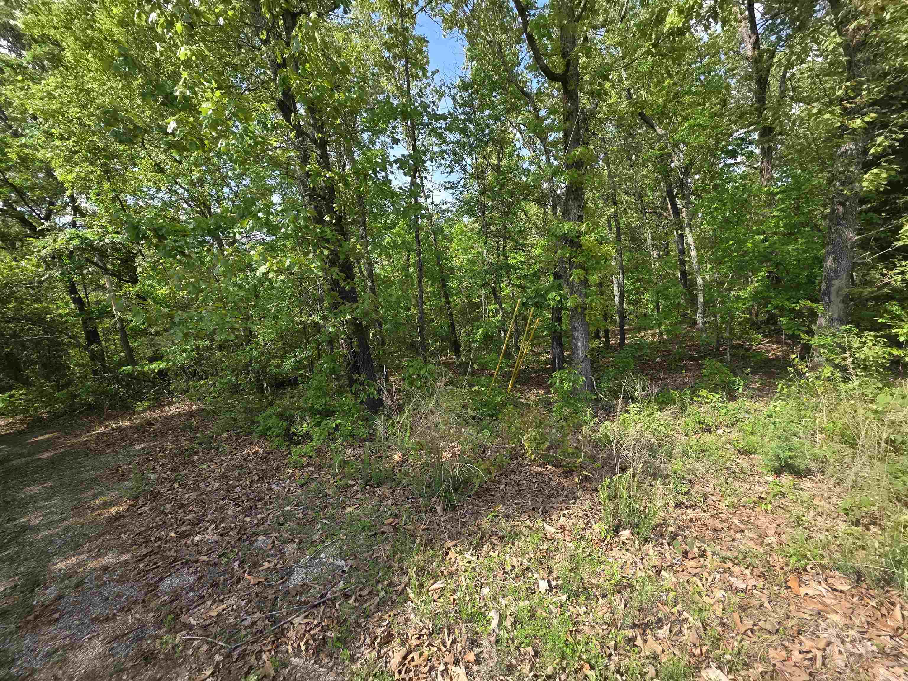 Photo 38 - Vacant Land for sale – Multiple  Wahoo, Wabash & Ora   Cherokee Village, AR