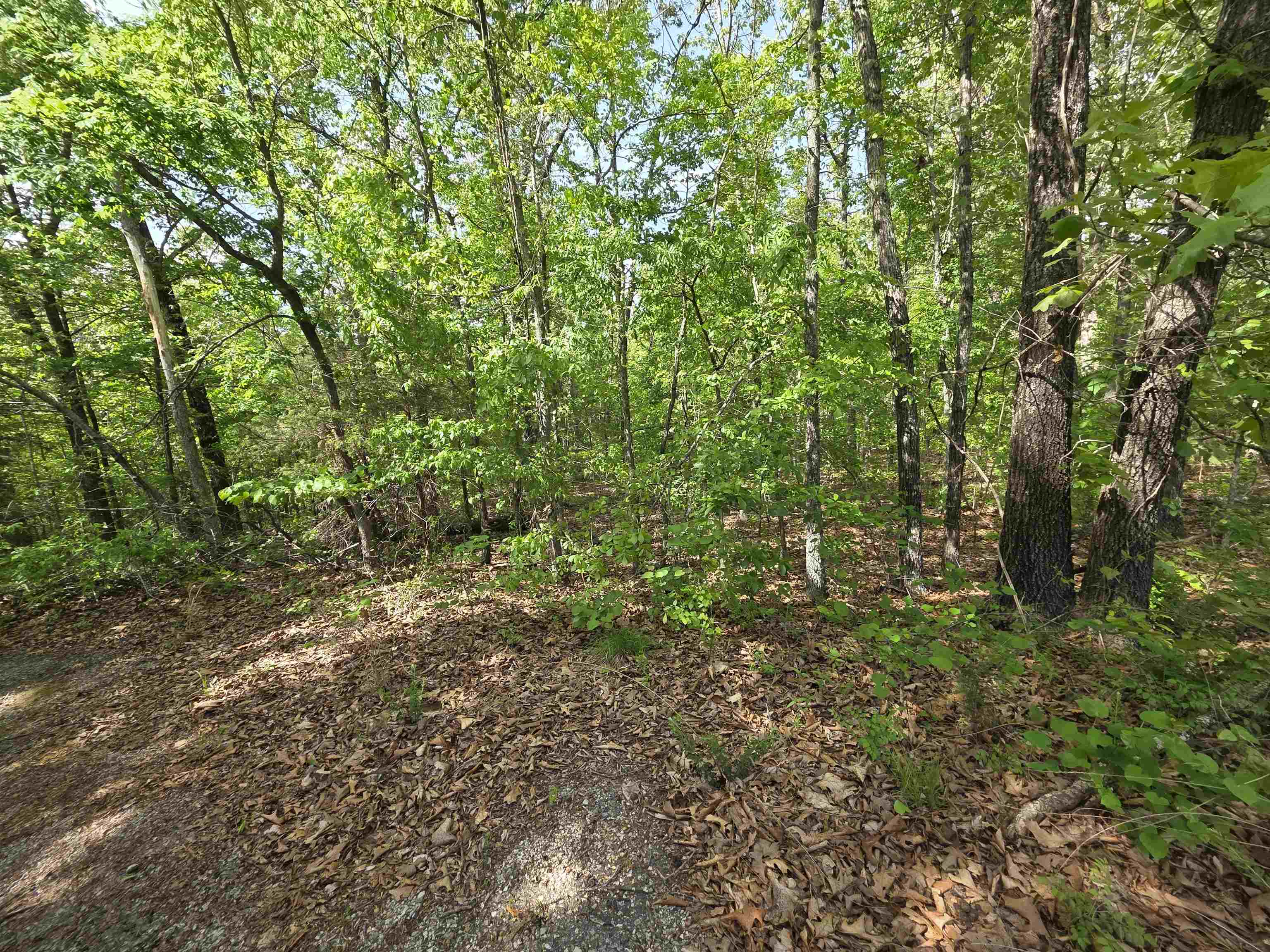 Photo 39 - Vacant Land for sale – Multiple  Wahoo, Wabash & Ora   Cherokee Village, AR