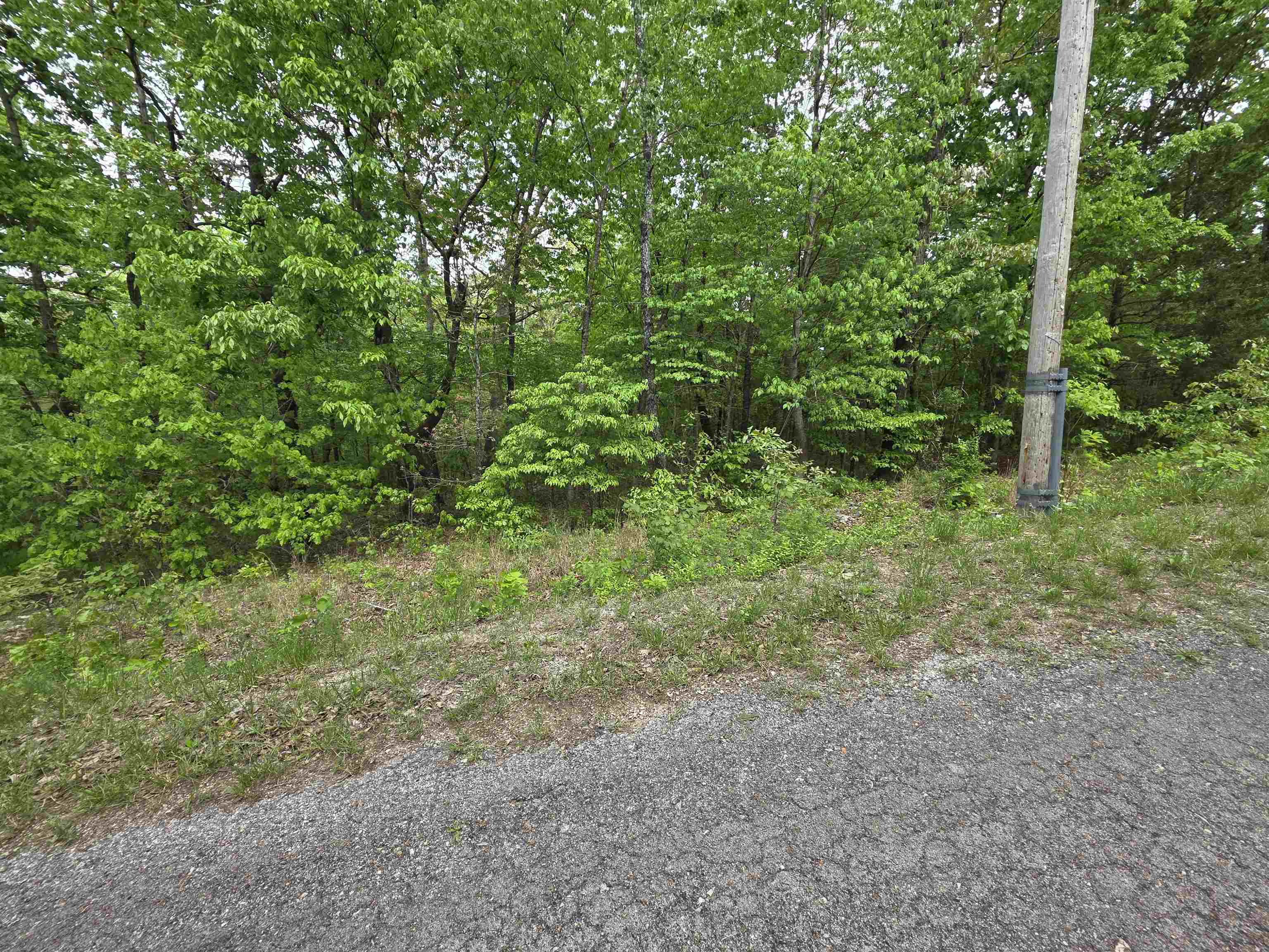 Photo 5 - Vacant Land for sale – Multiple  Wahoo, Wabash & Ora   Cherokee Village, AR