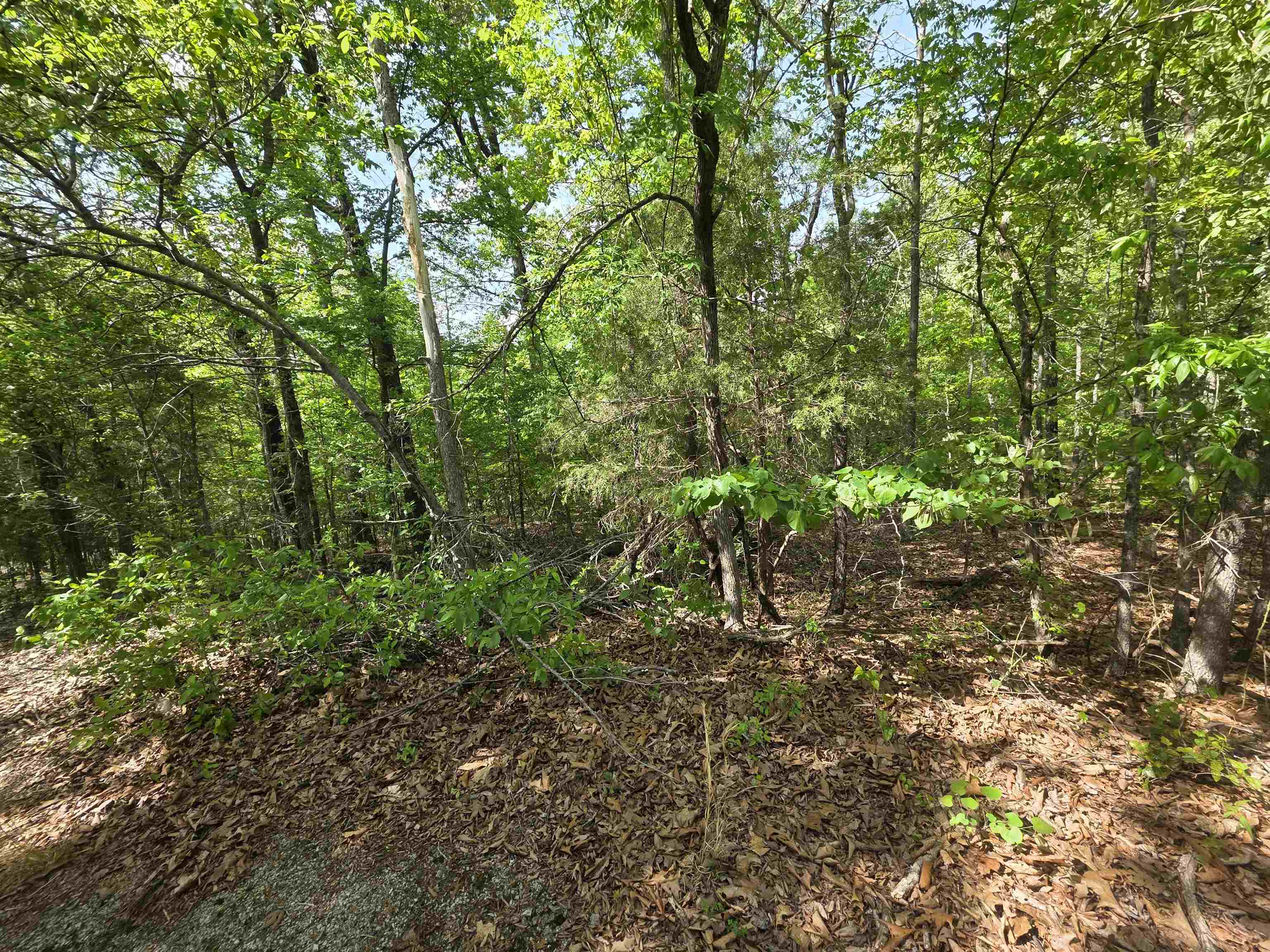 Photo 41 - Vacant Land for sale – Multiple  Wahoo, Wabash & Ora   Cherokee Village, AR