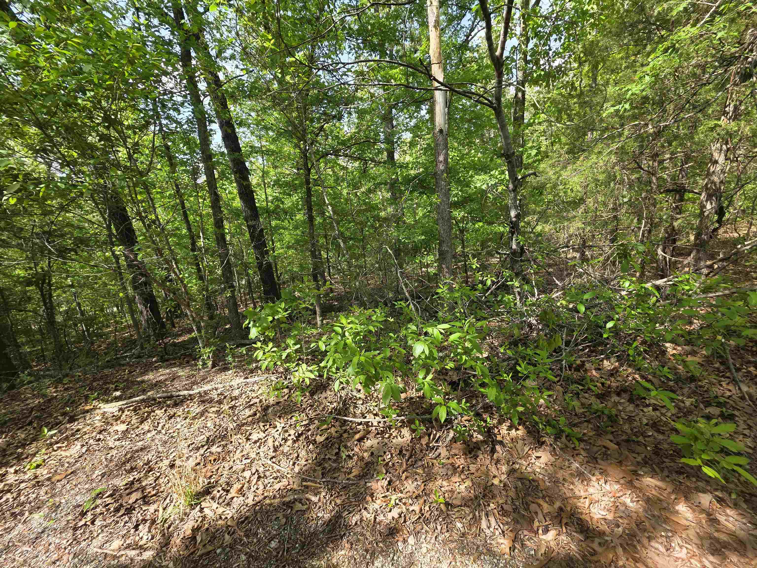 Photo 43 - Vacant Land for sale – Multiple  Wahoo, Wabash & Ora   Cherokee Village, AR