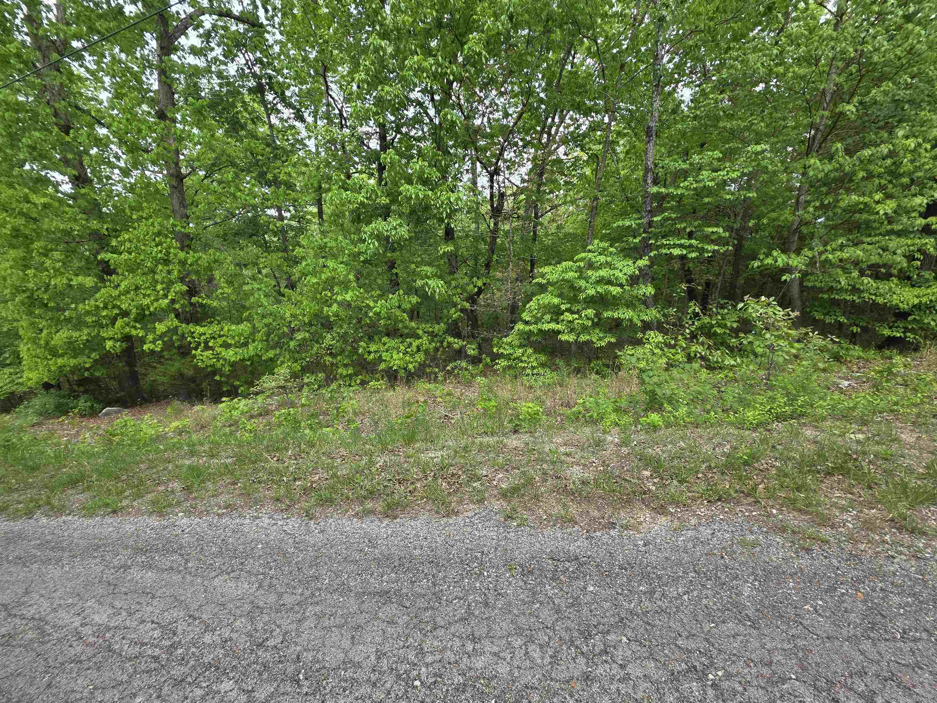 Photo 6 - Vacant Land for sale – Multiple  Wahoo, Wabash & Ora   Cherokee Village, AR