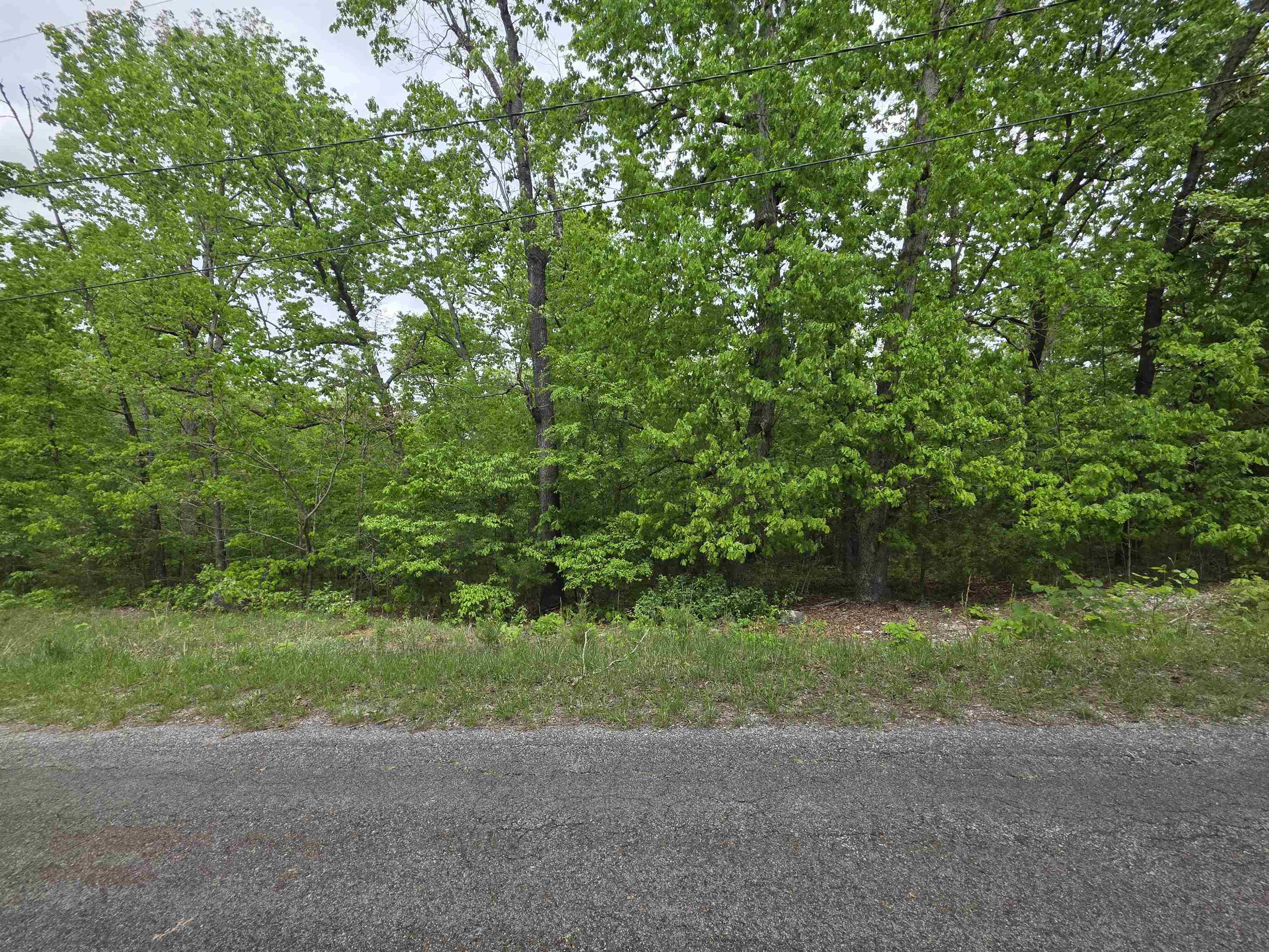 Photo 7 - Vacant Land for sale – Multiple  Wahoo, Wabash & Ora   Cherokee Village, AR