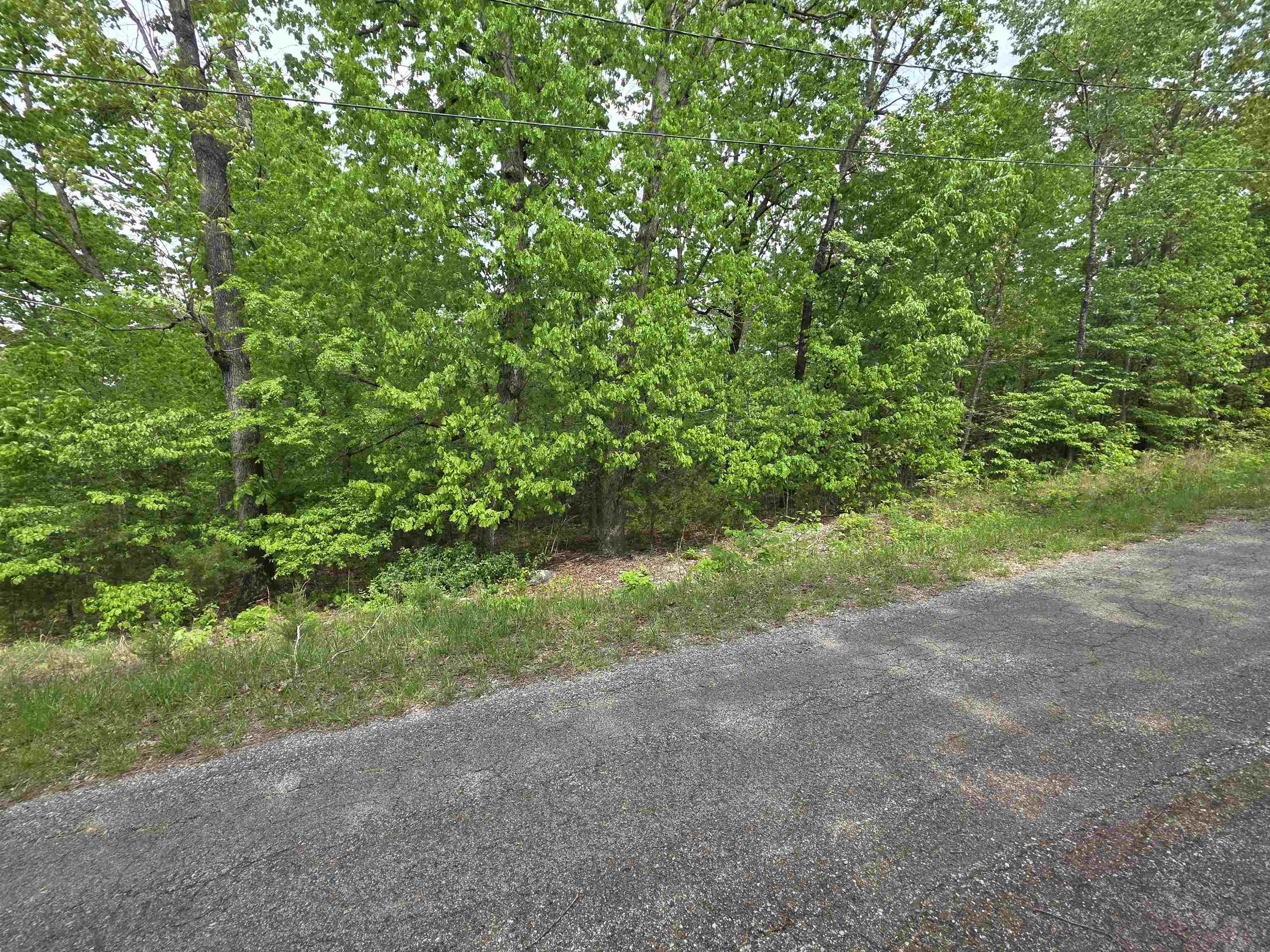 Photo 8 - Vacant Land for sale – Multiple  Wahoo, Wabash & Ora   Cherokee Village, AR