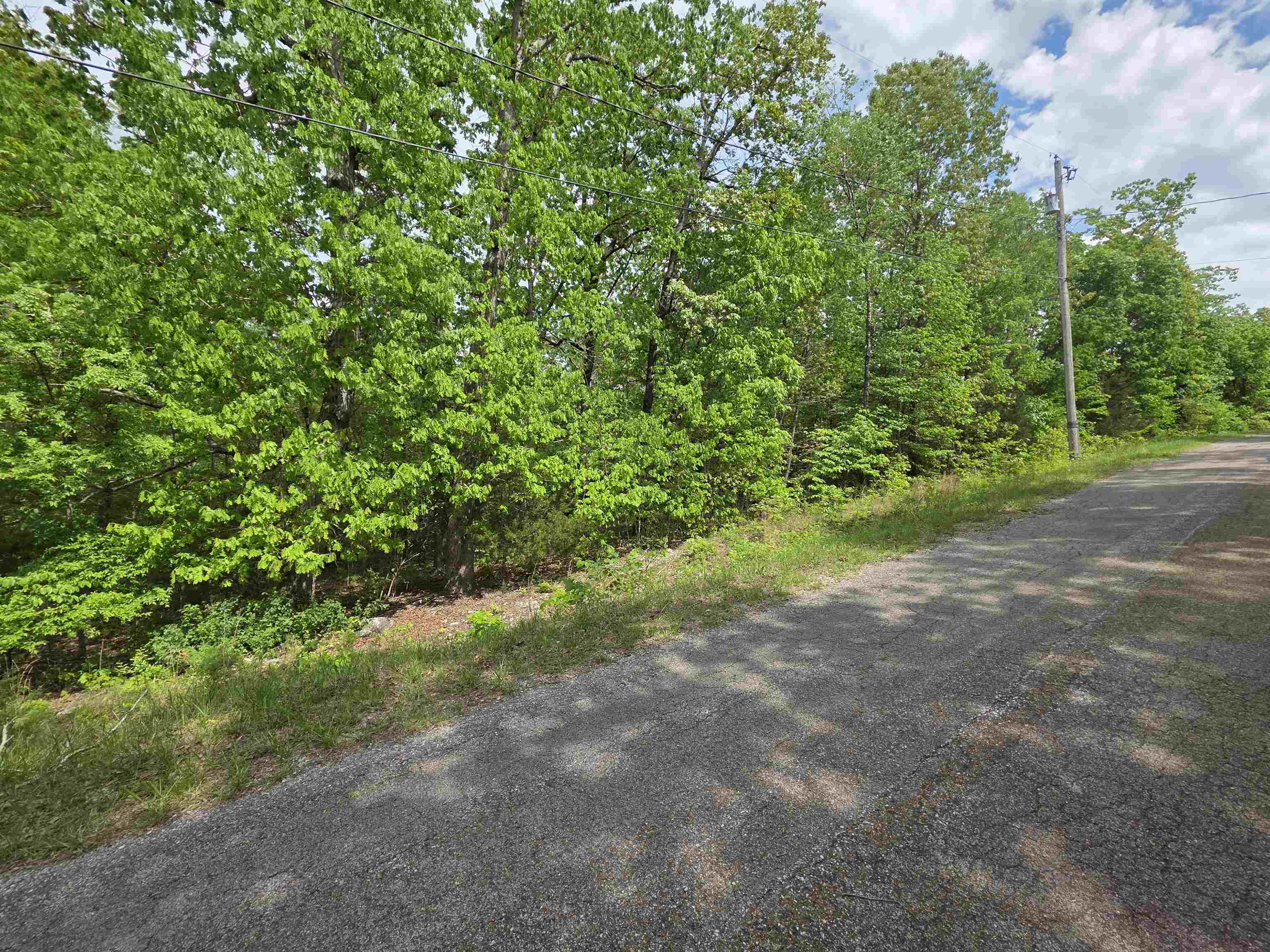 Photo 9 - Vacant Land for sale – Multiple  Wahoo, Wabash & Ora   Cherokee Village, AR