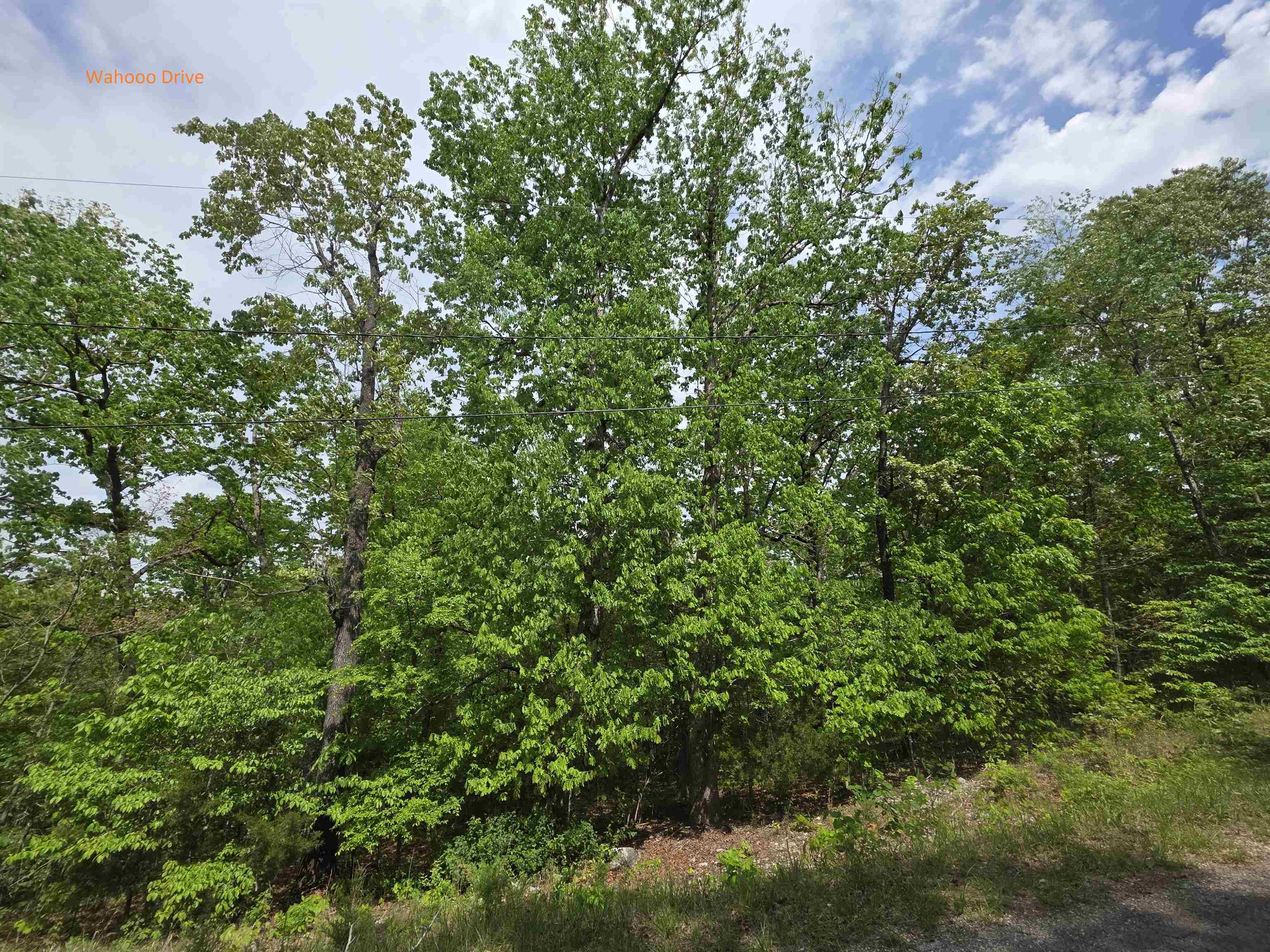 Photo 10 - Vacant Land for sale – Multiple  Wahoo, Wabash & Ora   Cherokee Village, AR