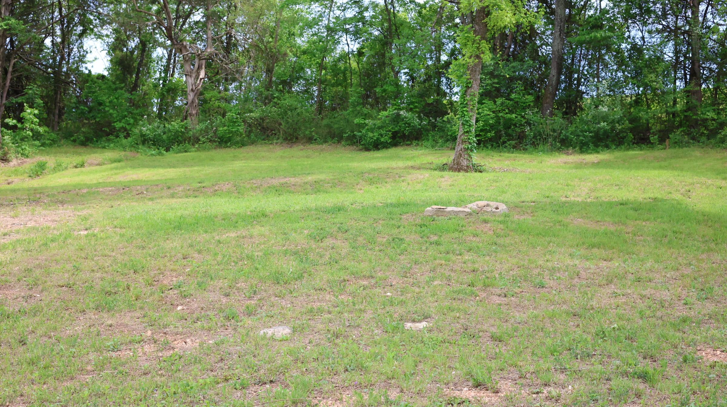 Photo 11 - Vacant Land for sale – 245  McSpadden   Mount Pleasant, AR