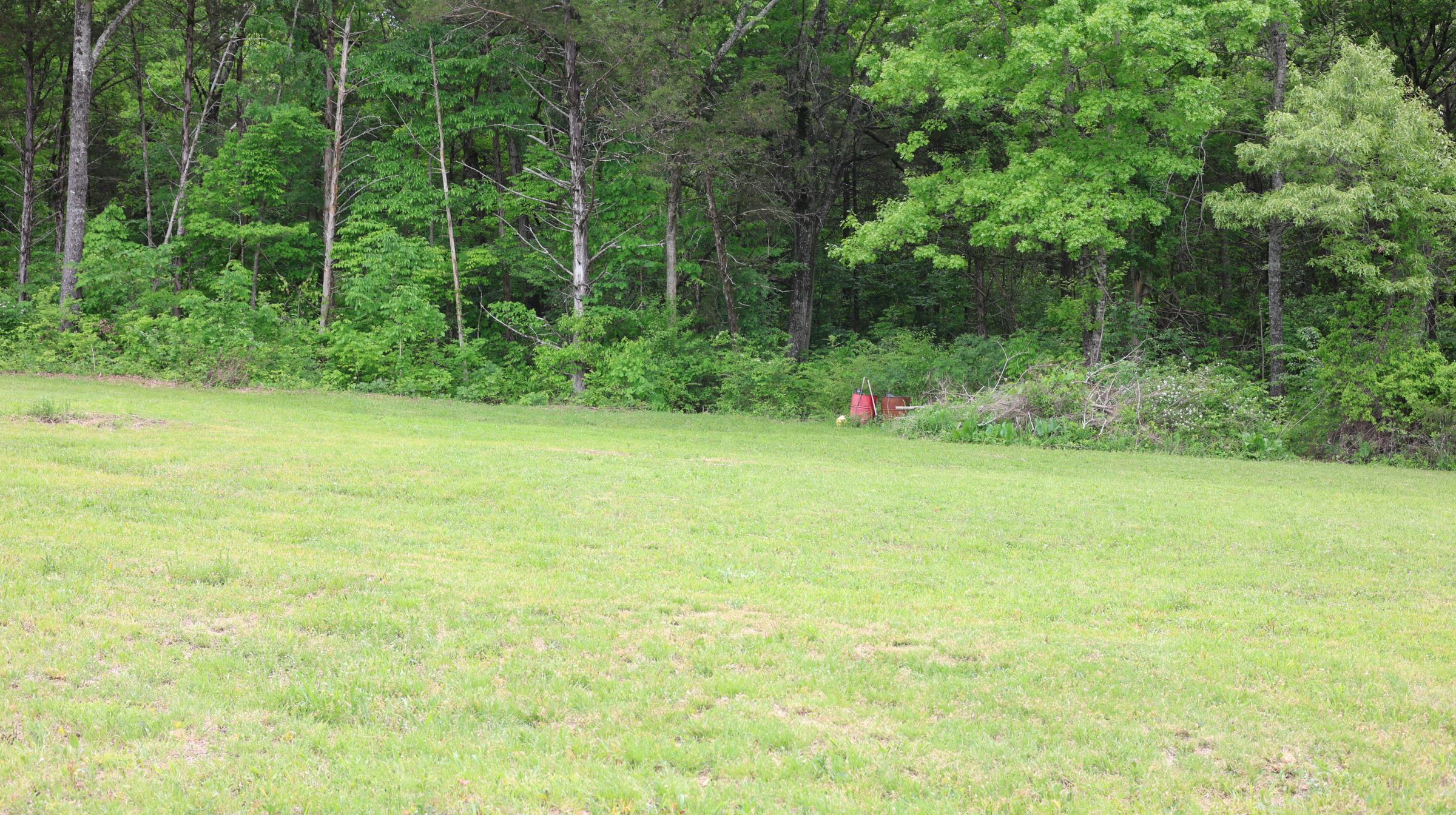 Photo 7 - Vacant Land for sale – 245  McSpadden   Mount Pleasant, AR