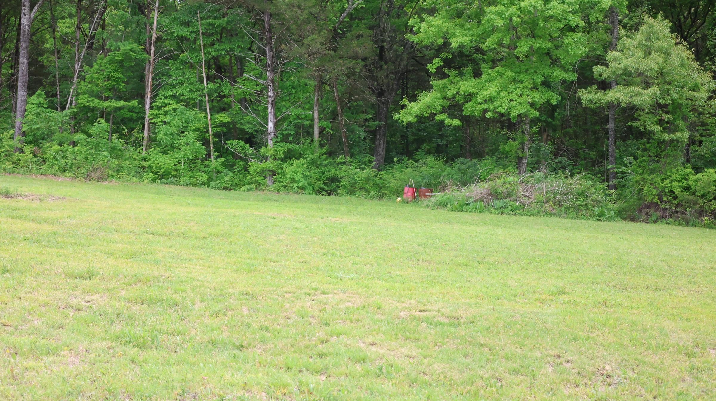 Photo 10 - Vacant Land for sale – 245  McSpadden   Mount Pleasant, AR